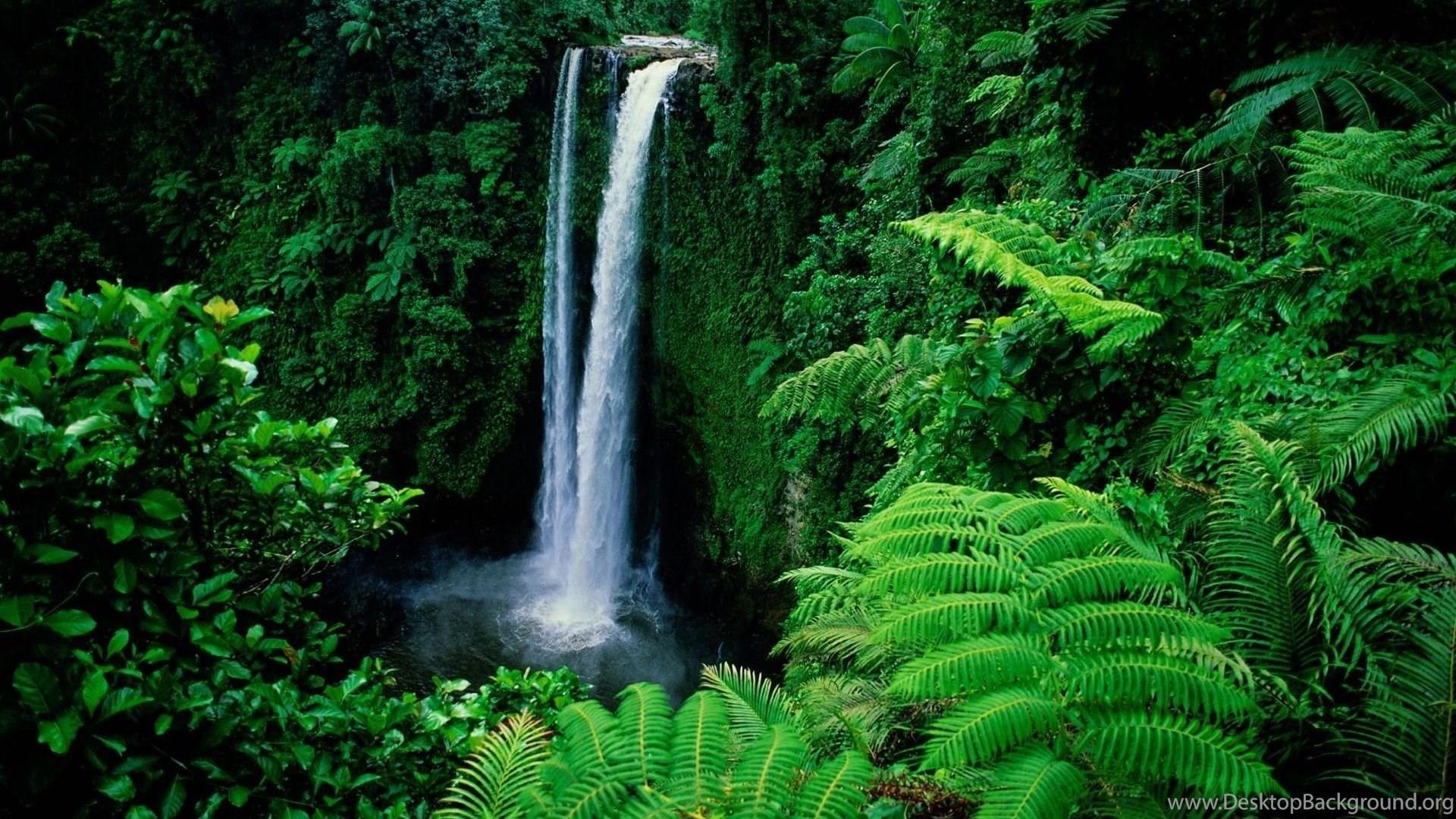 Tropical Waterfall HD Wallpaper High Resolution Desktop Background