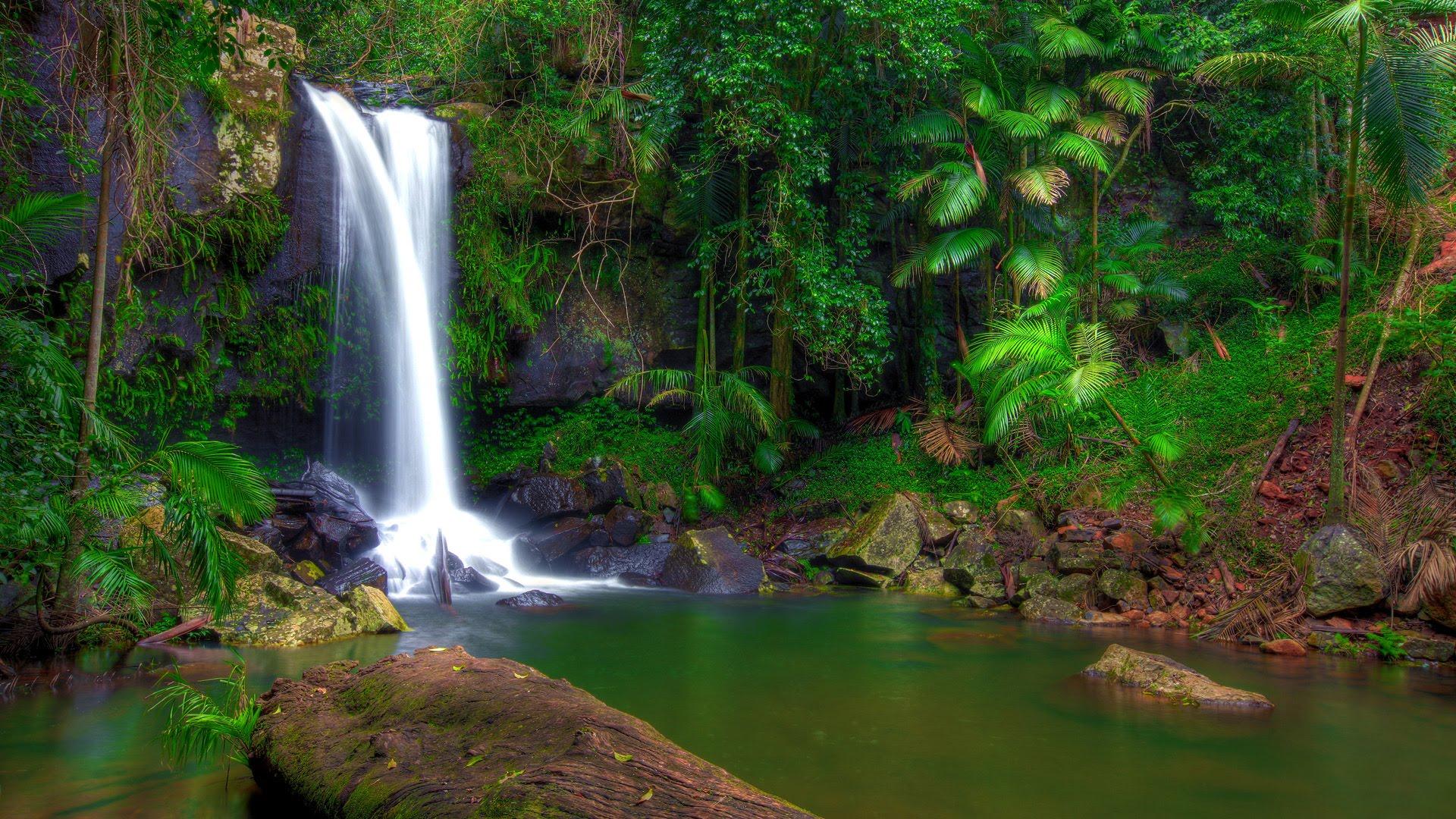 Wonderful Tropical Waterfall In Jungle Green Vegetation Rocks Full