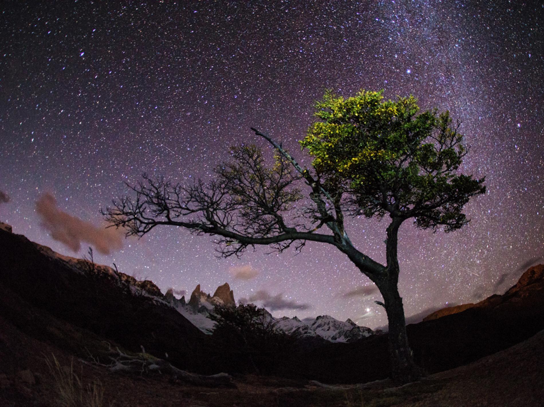 Night Sky, Patagonia