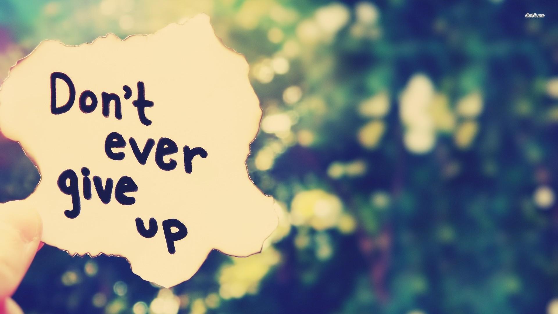 Don't Give Up Wallpaper, #SFD 7674