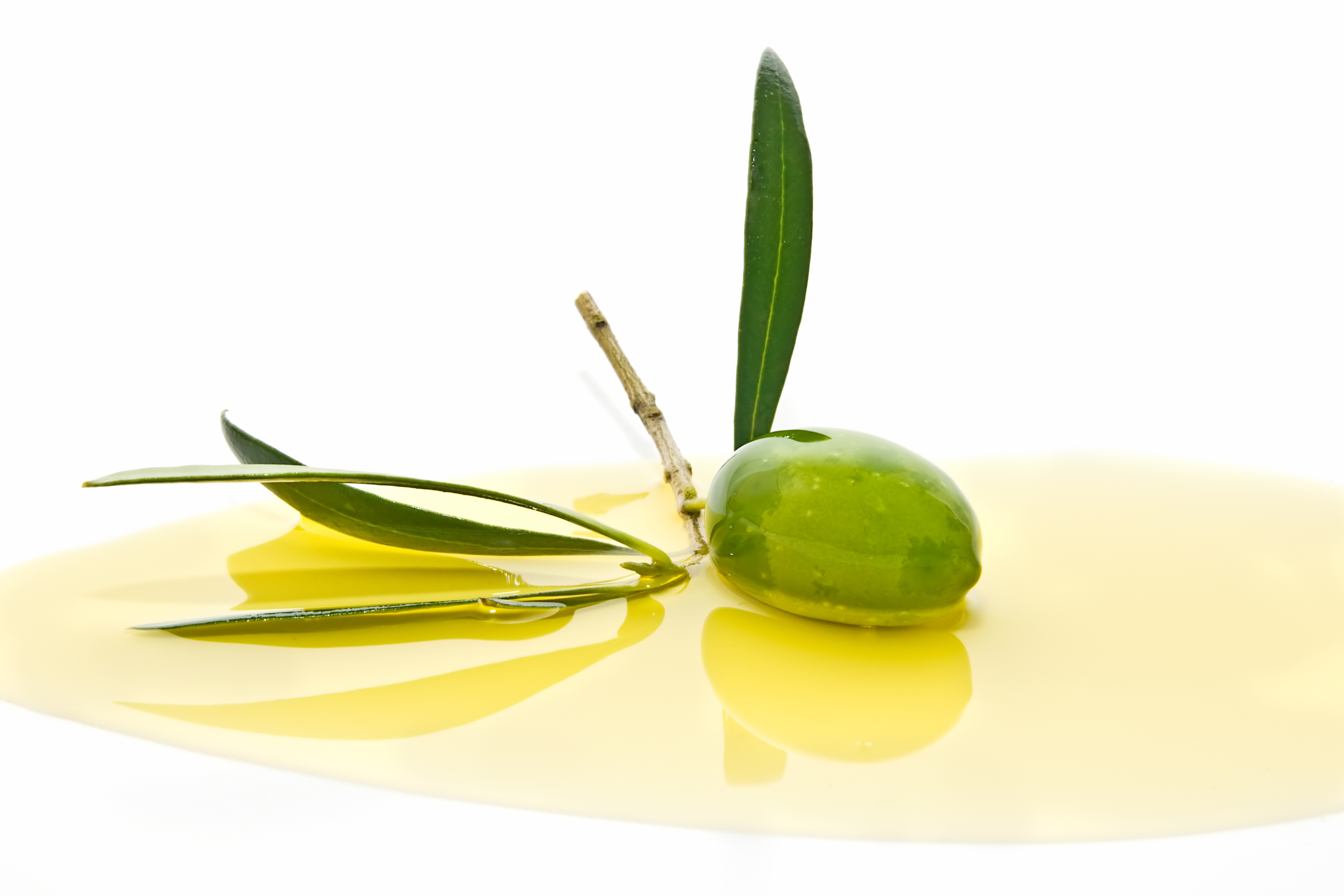 Olive Oil Wallpaper High Quality