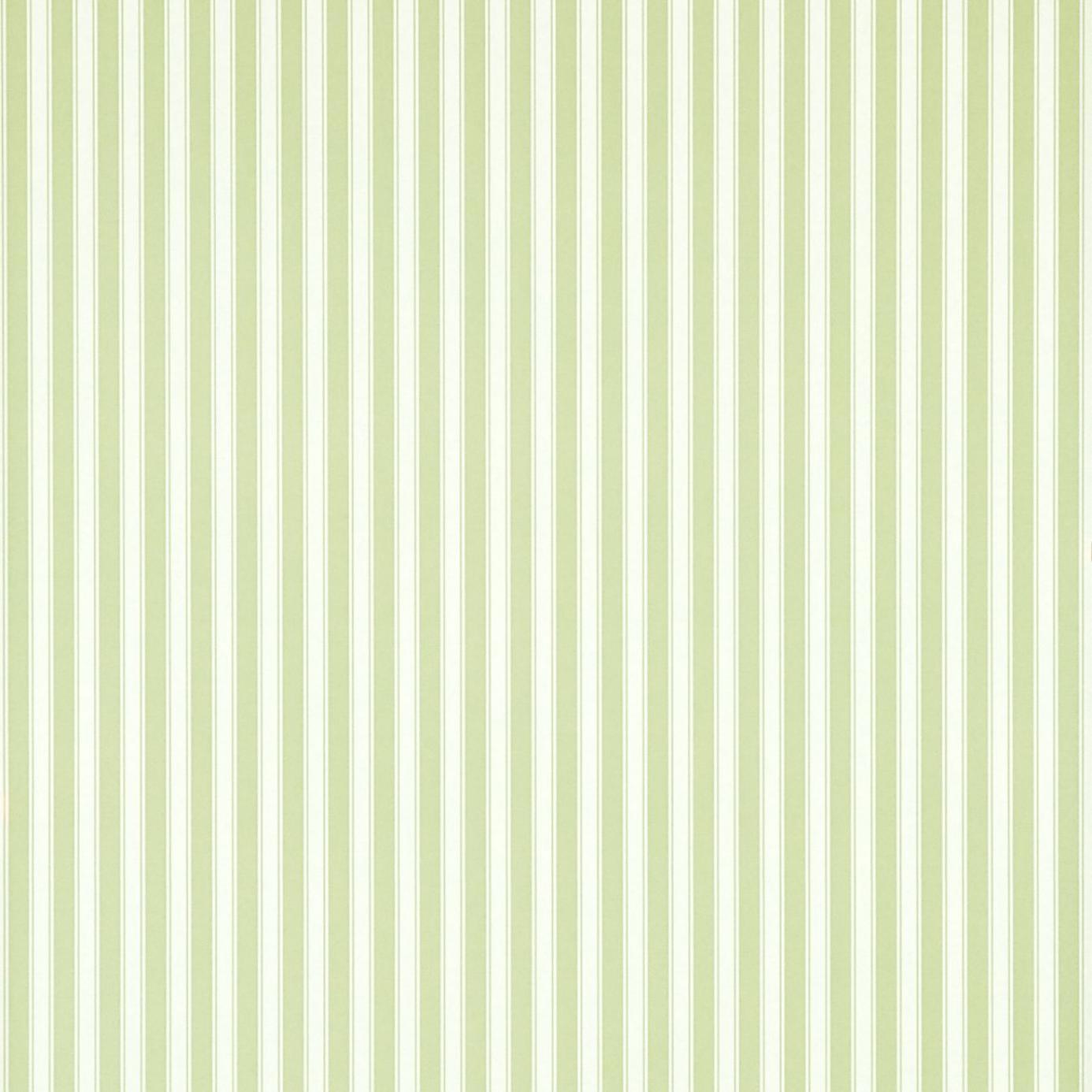 New Tiger Stripe Wallpaper Green Ivory DCAVTP103 211712