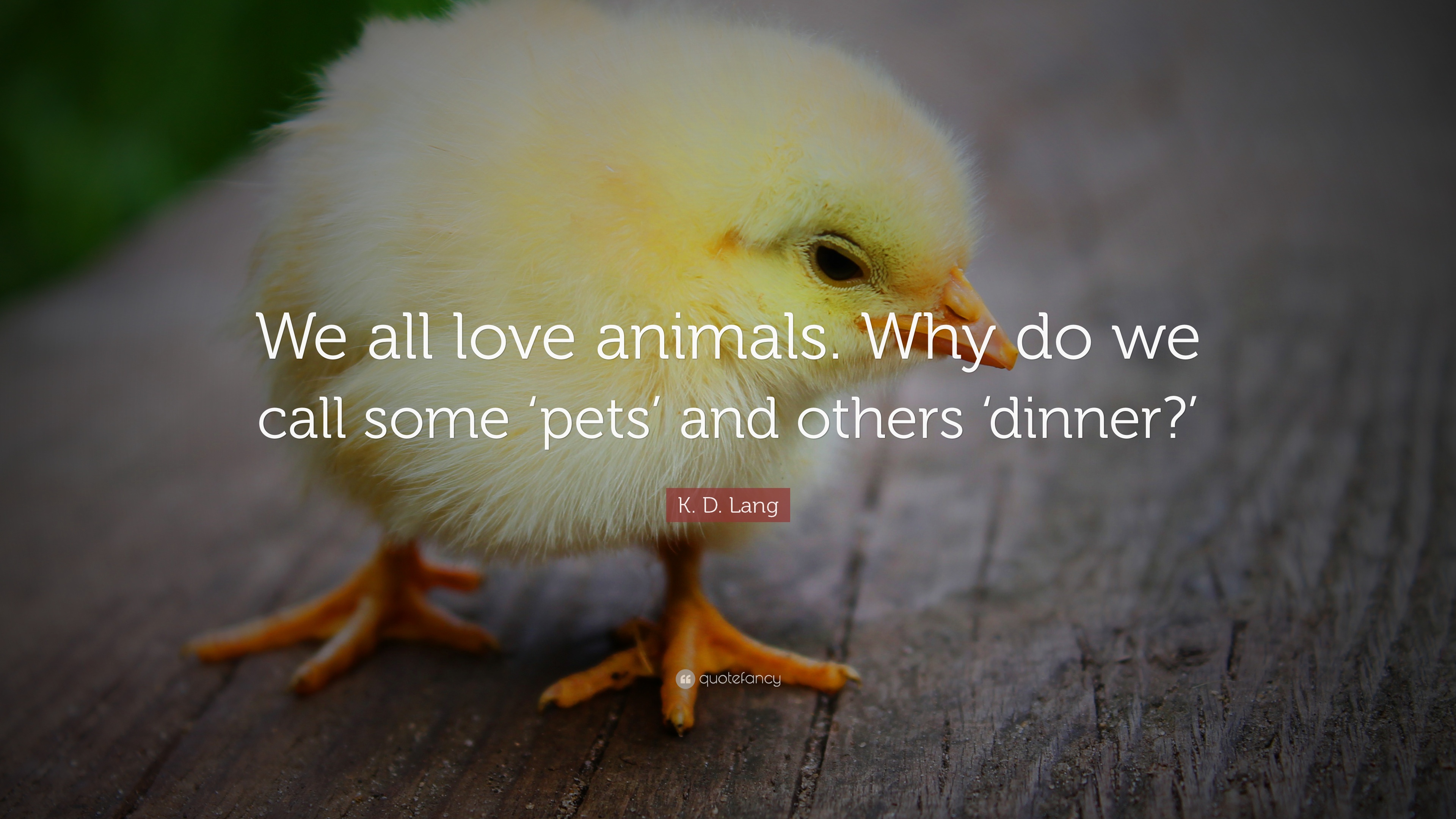 K. D. Lang Quote: “We all love animals. Why do we call some 'pets