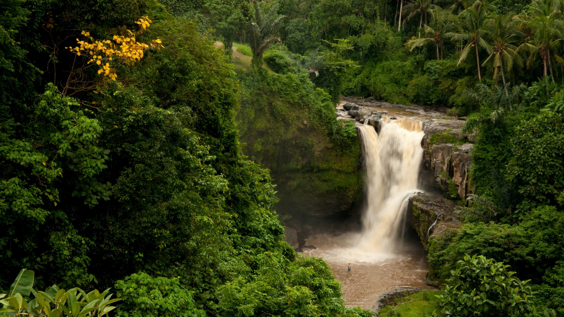 Bali Indonesia Waterfall in Forest Wallpaper