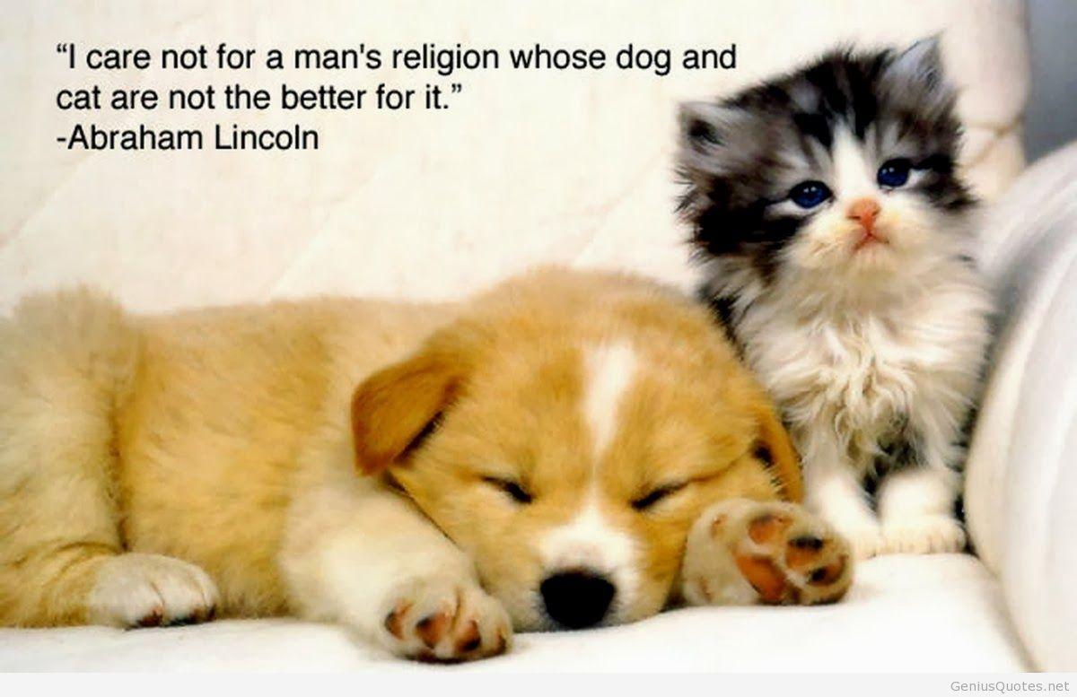 Best animals quotes on HD image quote