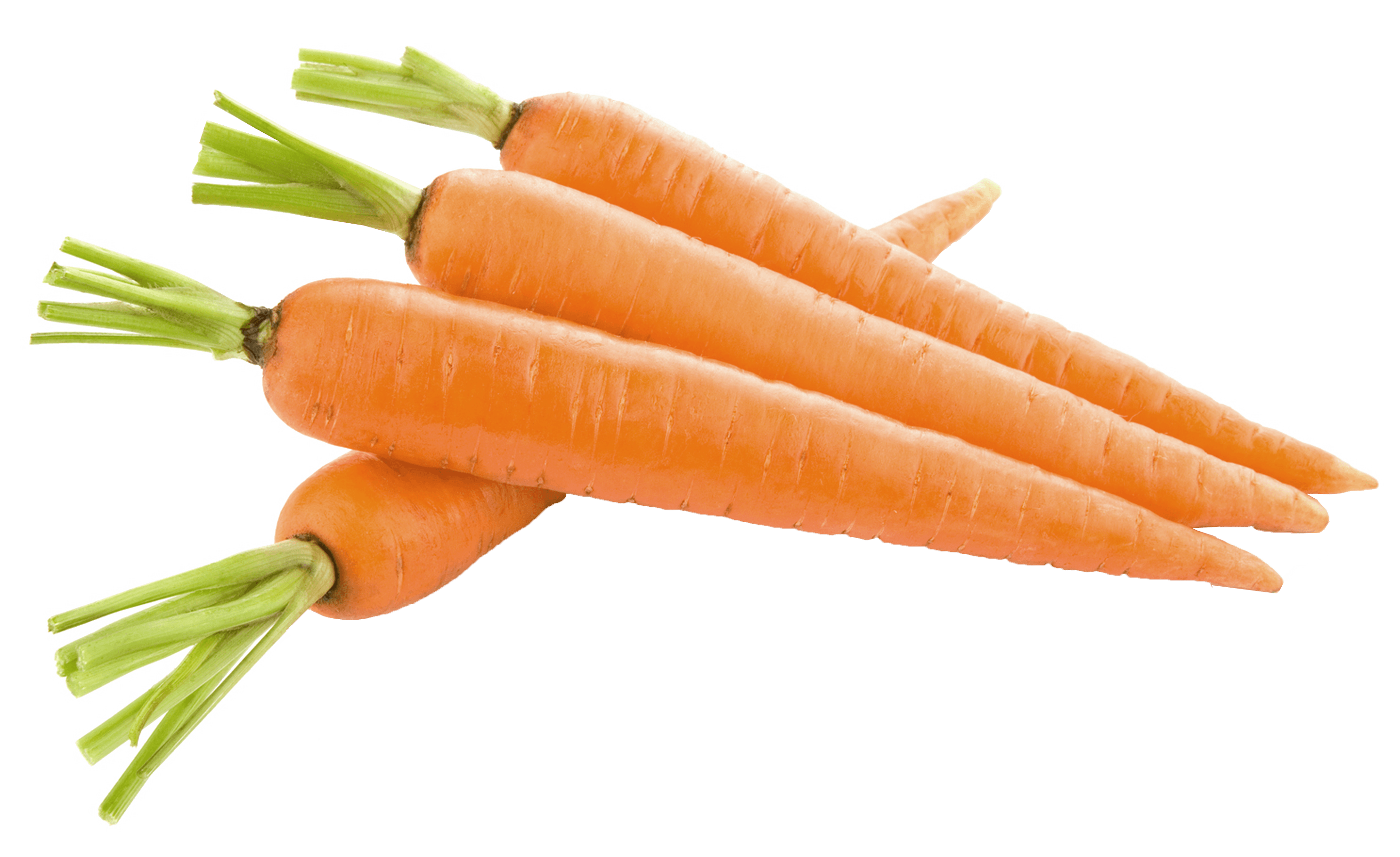 Carrots PNG Picture Quality Image