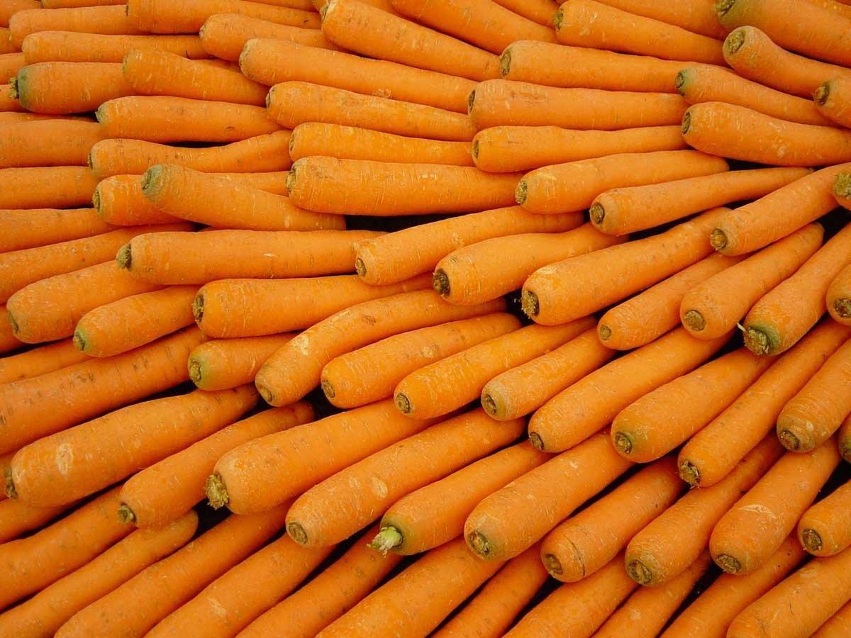 Carrot Wallpaper and Background Imagex900