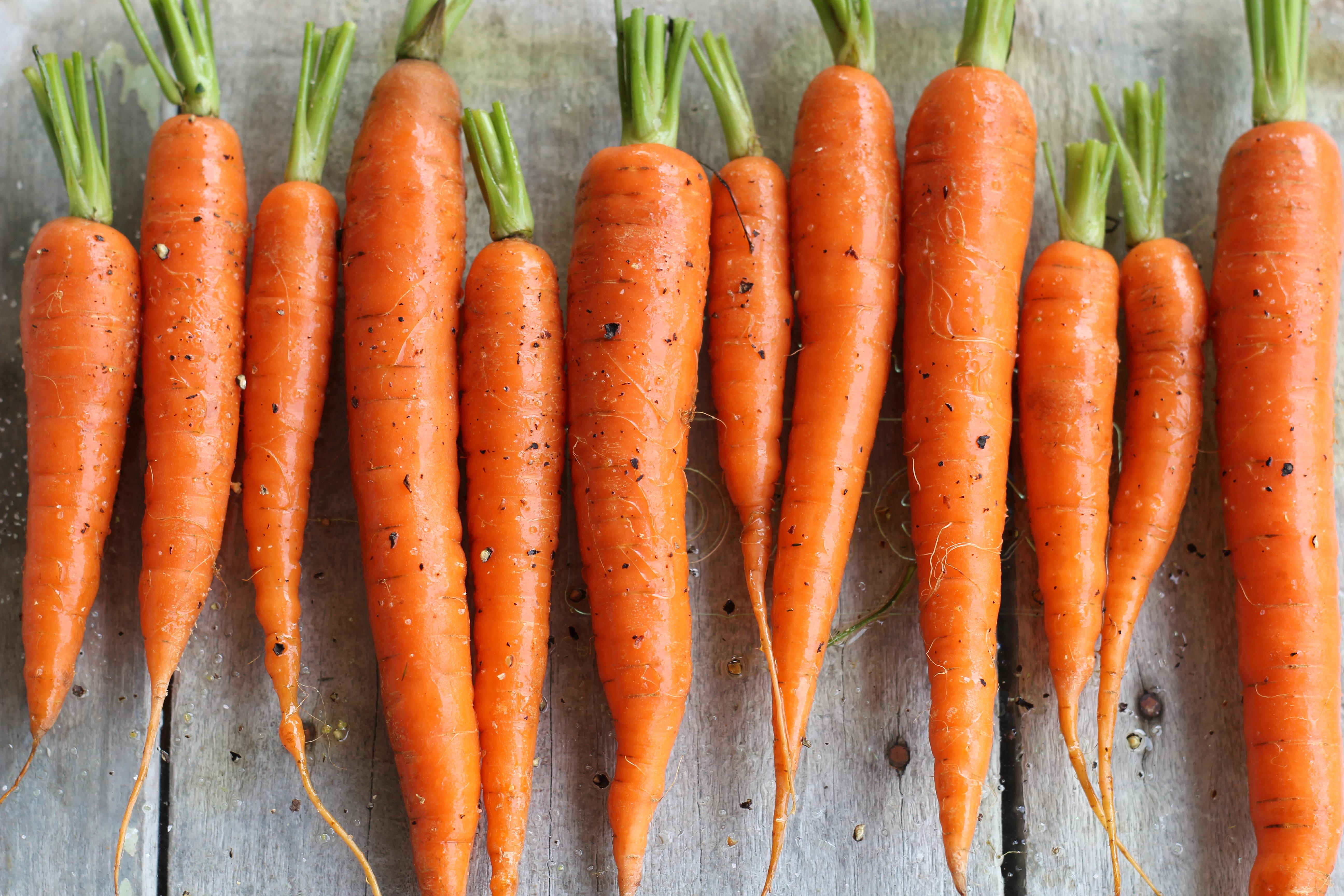 Морковь оранжевая звезда f1