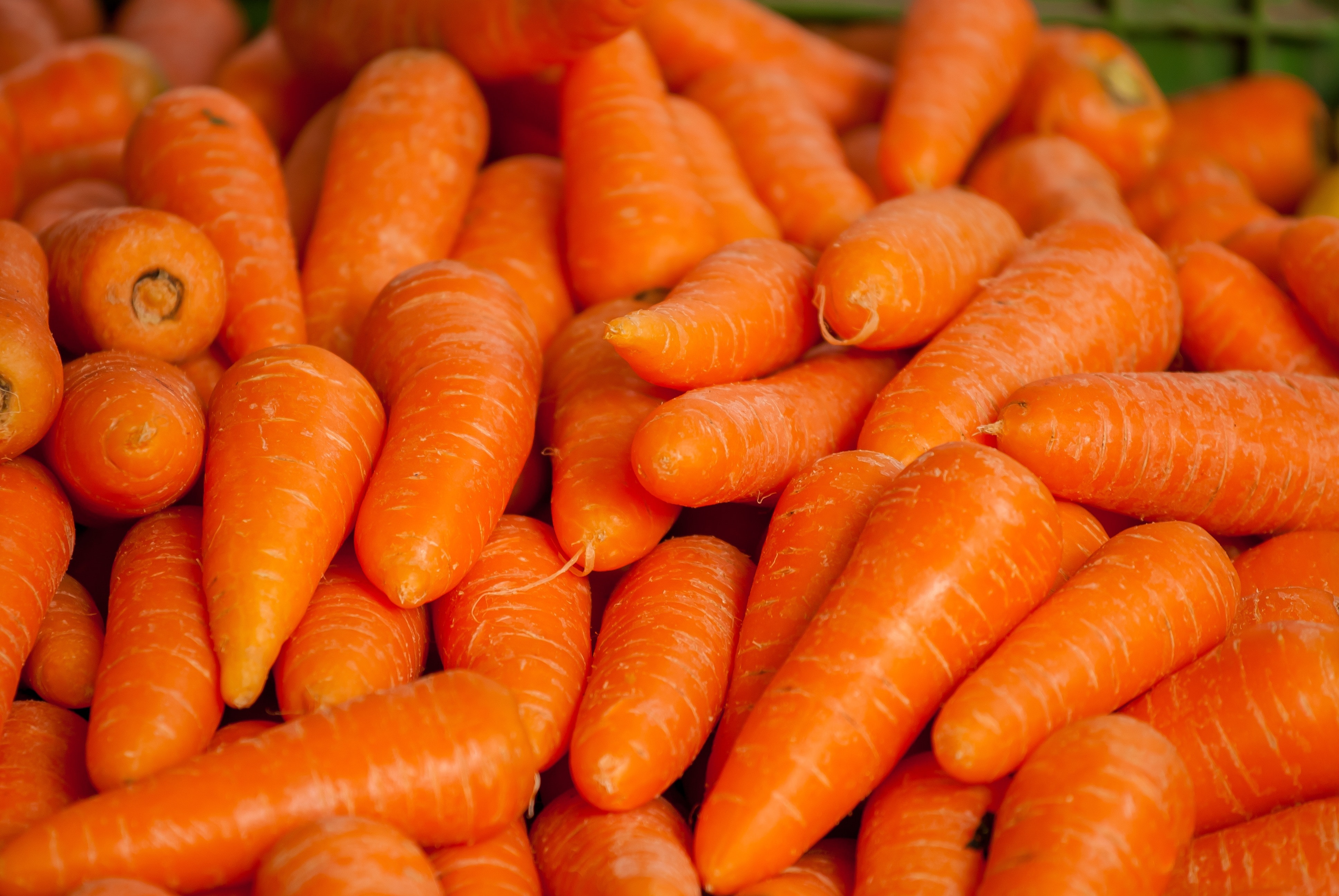 Carrots Wallpapers - Wallpaper Cave