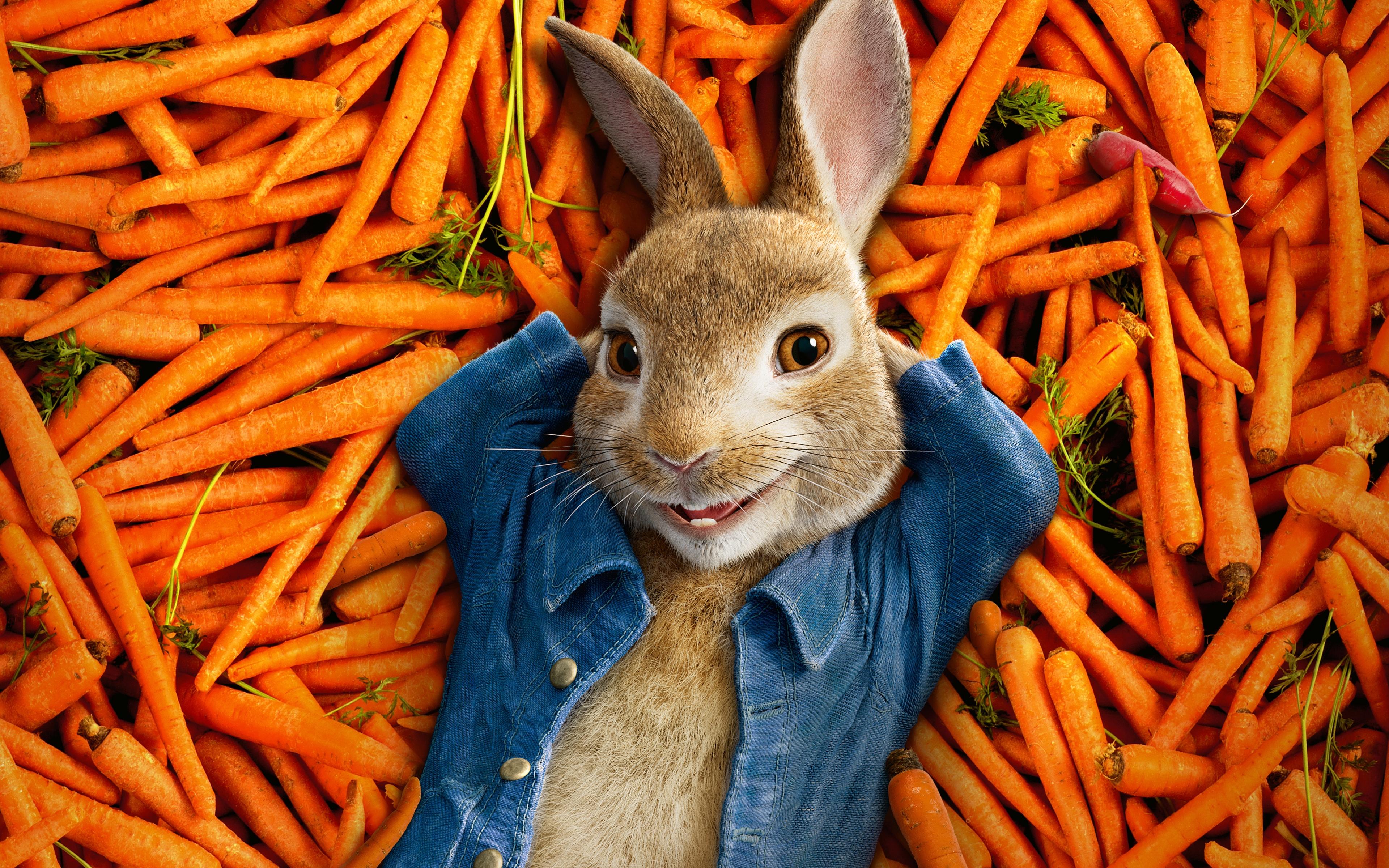 Wallpaper Peter Rabbit Animation, Carrots, Smiling