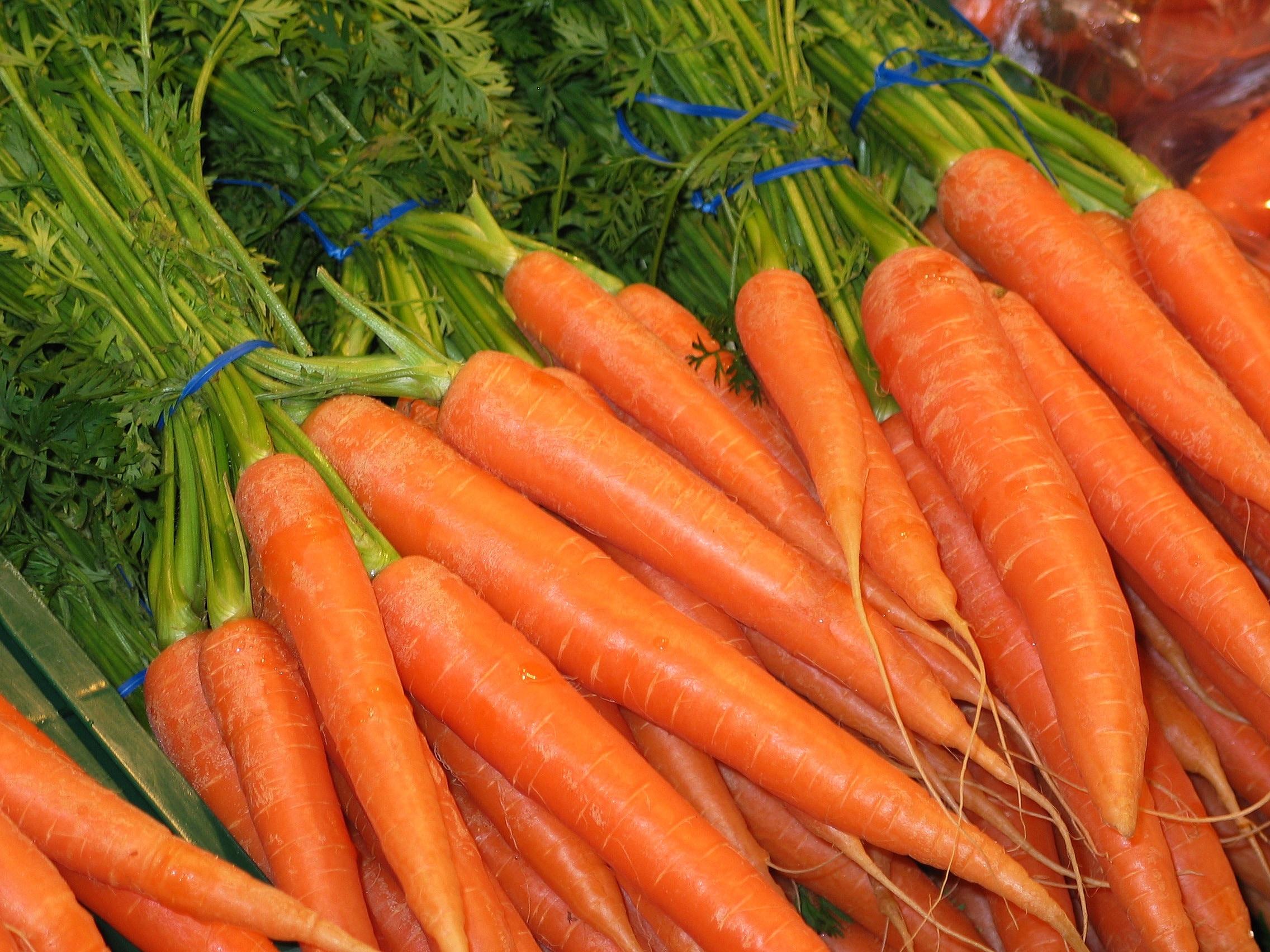 pile of orange carrots free image