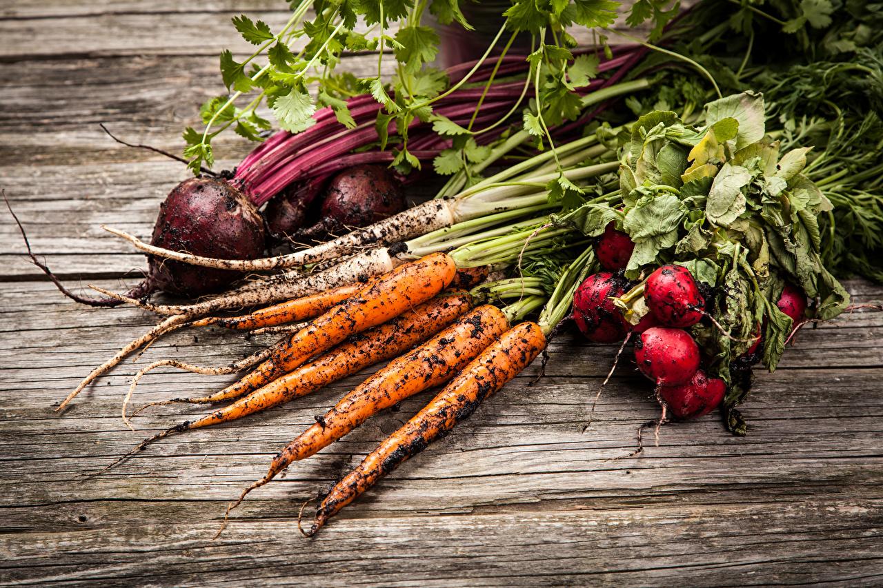 Wallpaper Soil Carrots Radishes Food Vegetables Wood planks