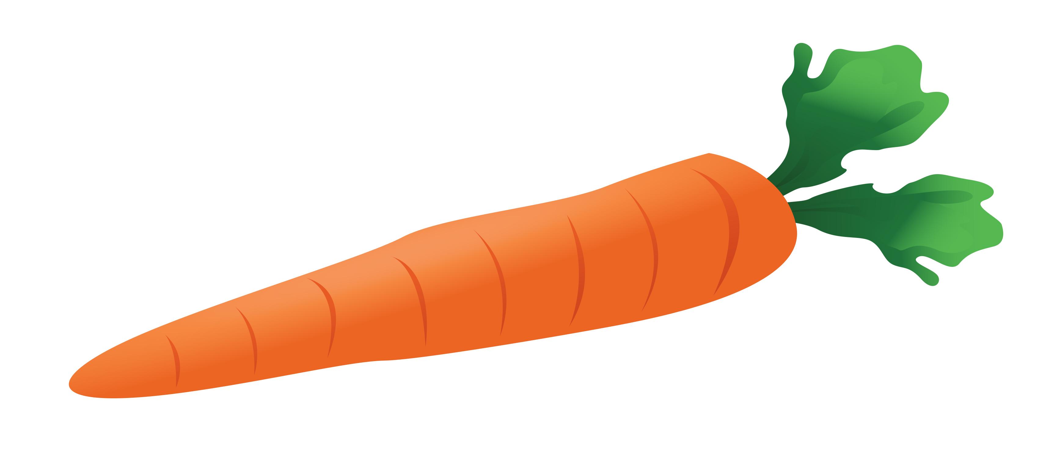 Carrot Clipart Group with items