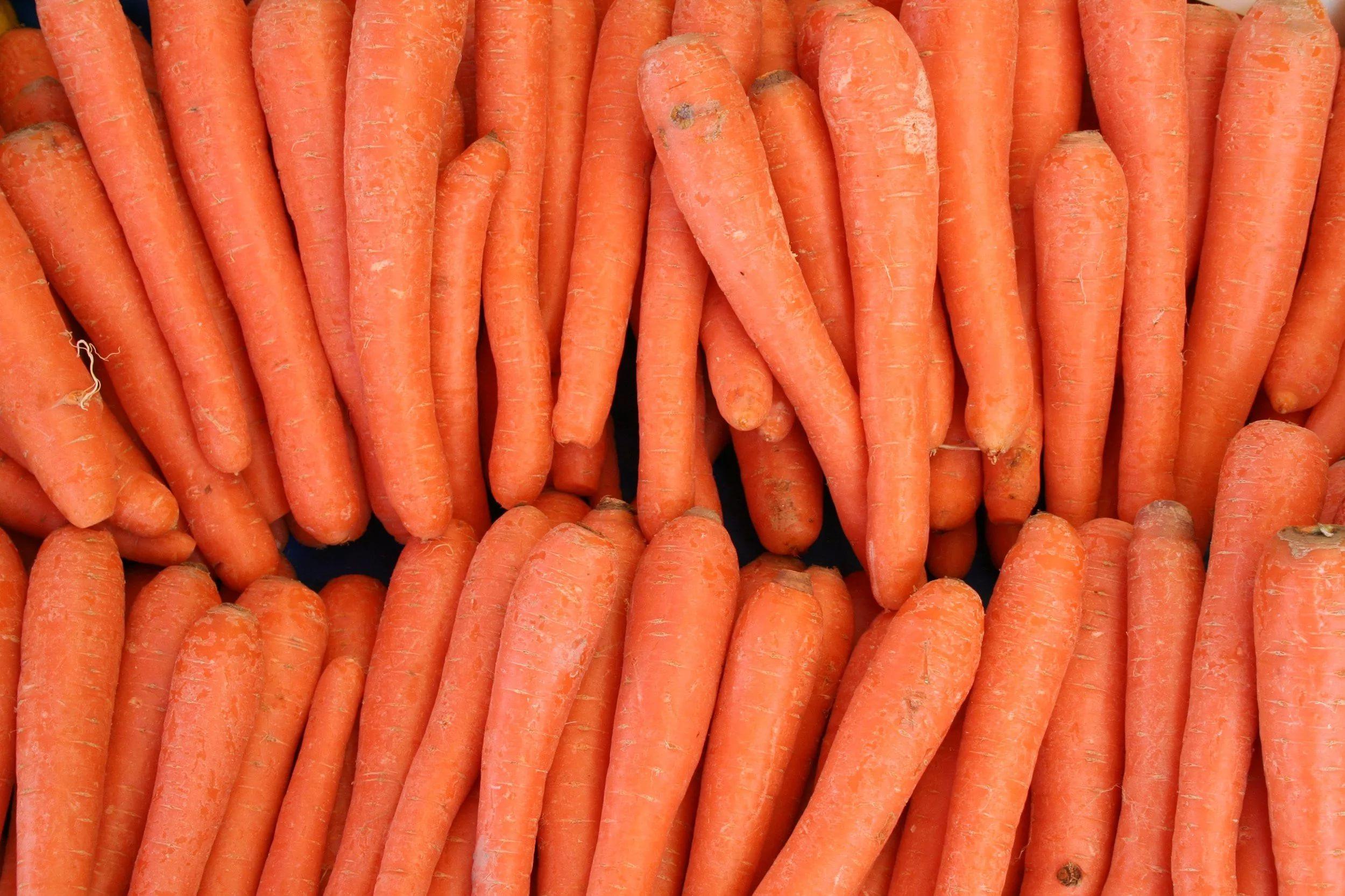 Carrots HD Wallpaper free