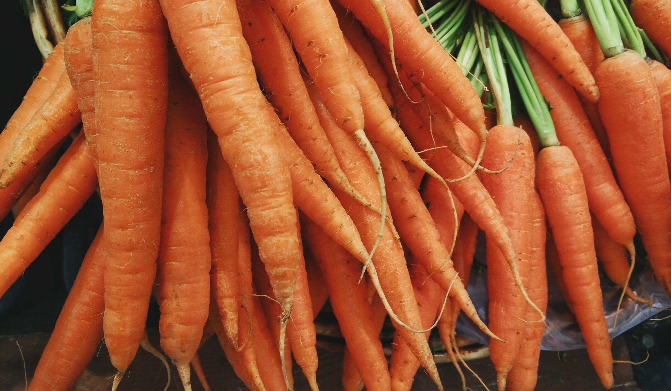 Download 2304x1344 Carrots, Fresh, Vegetable Wallpaper