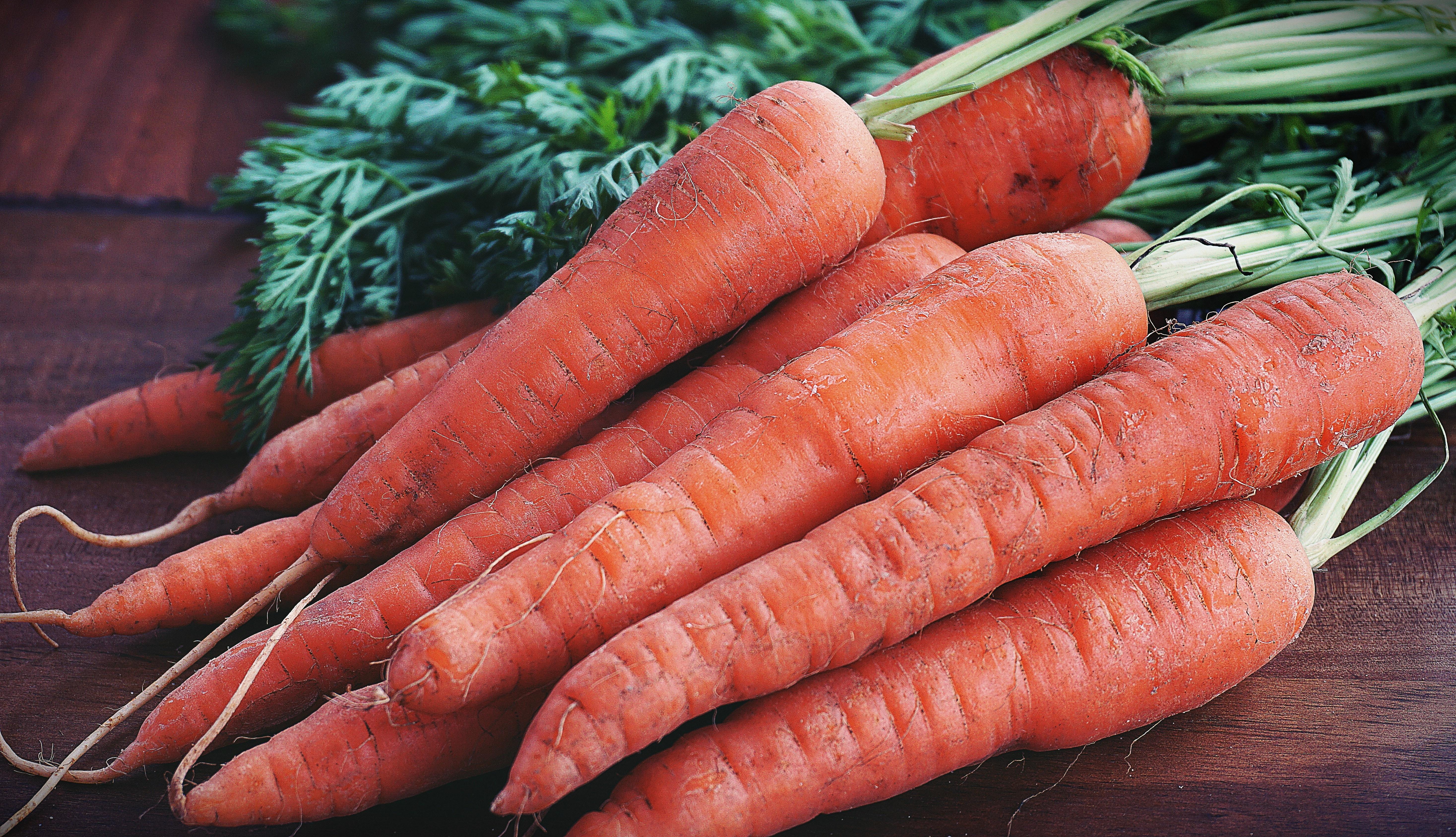 Interesting Carrot Photo