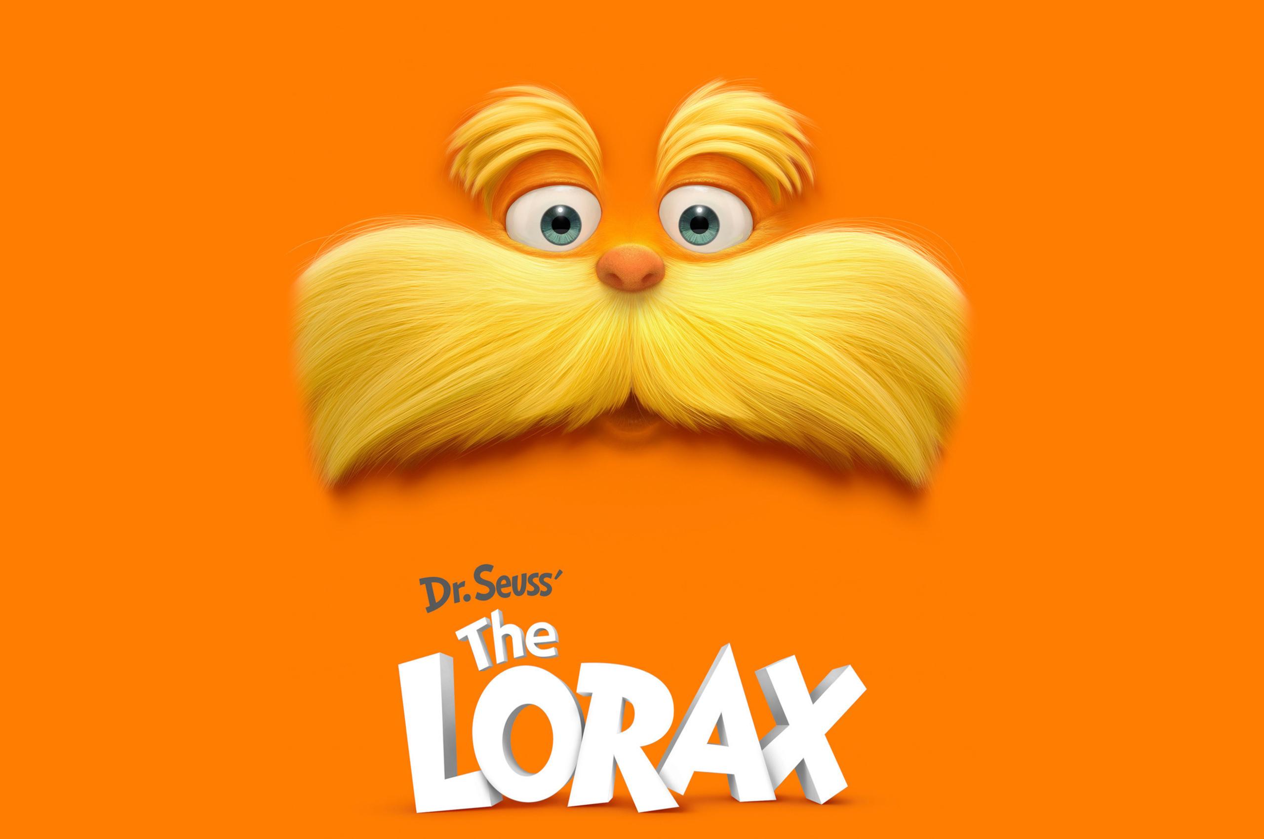 Dr Seuss In The Lorax Movie Chromebook Pixel HD 4k