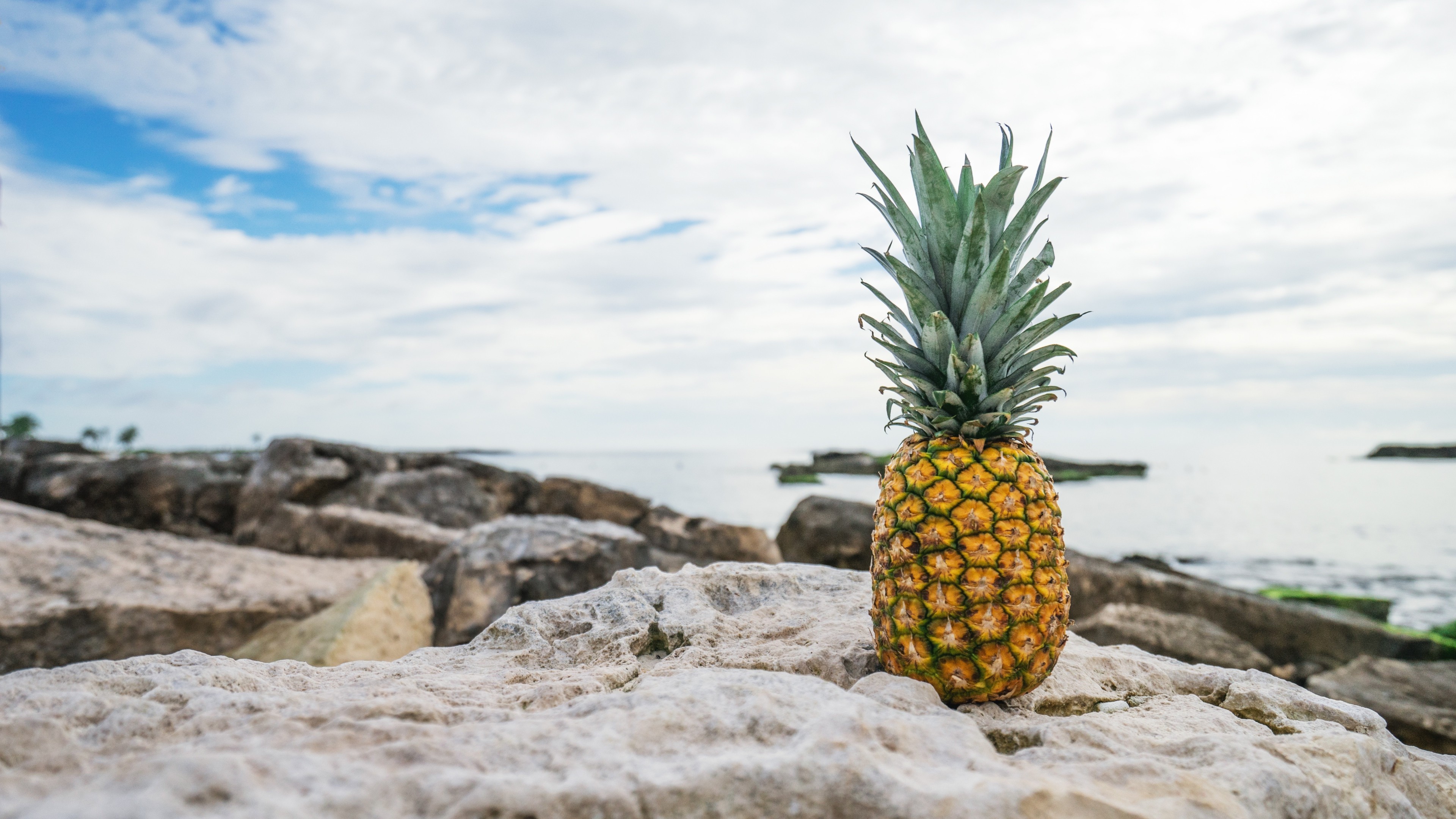 Wallpaper pineapple, fruit, stones, beach, 4k, Food