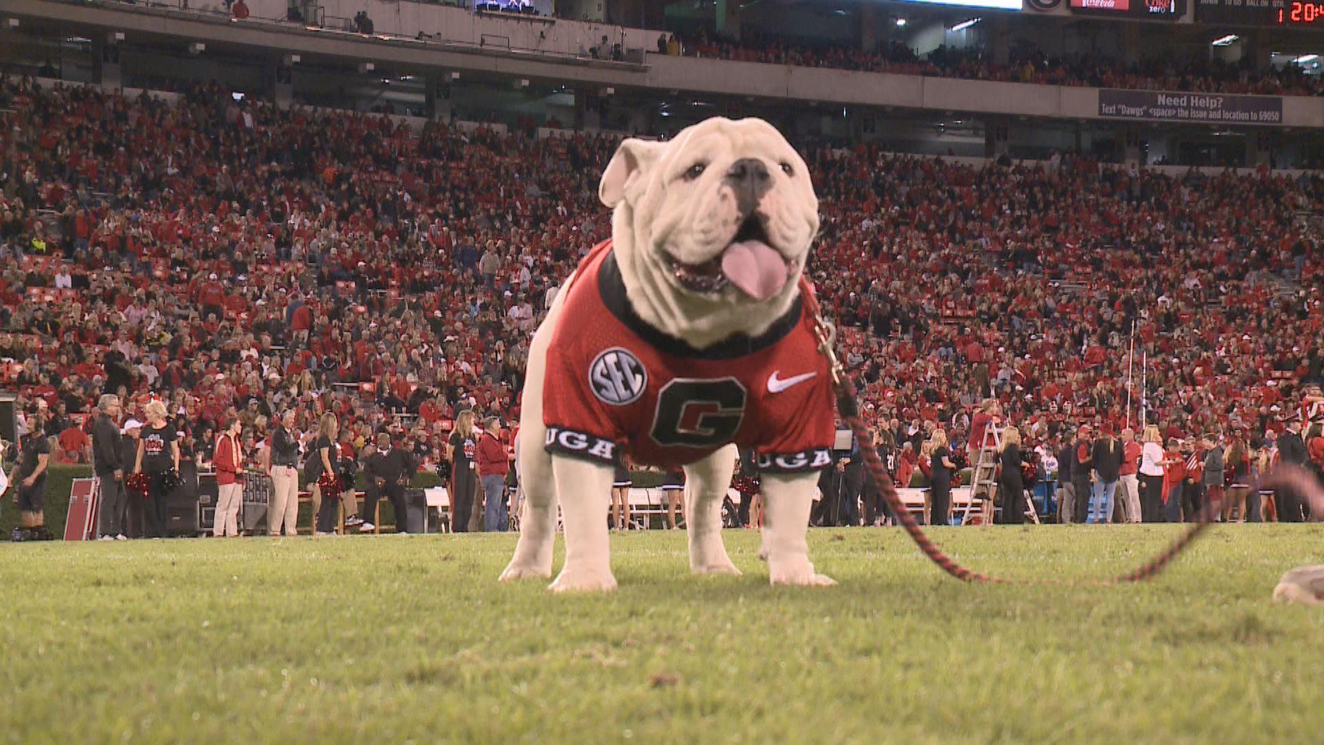 Que to take over as Uga X during the Georgia Southern game