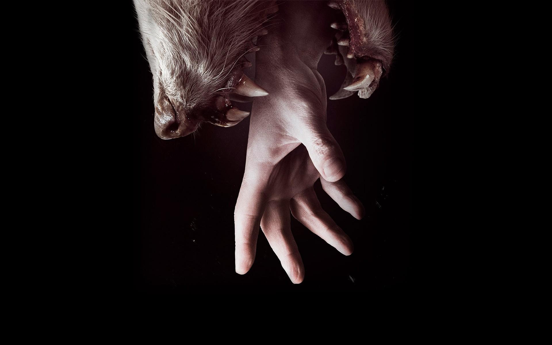 Creepy hands artwork wallpaper. PC