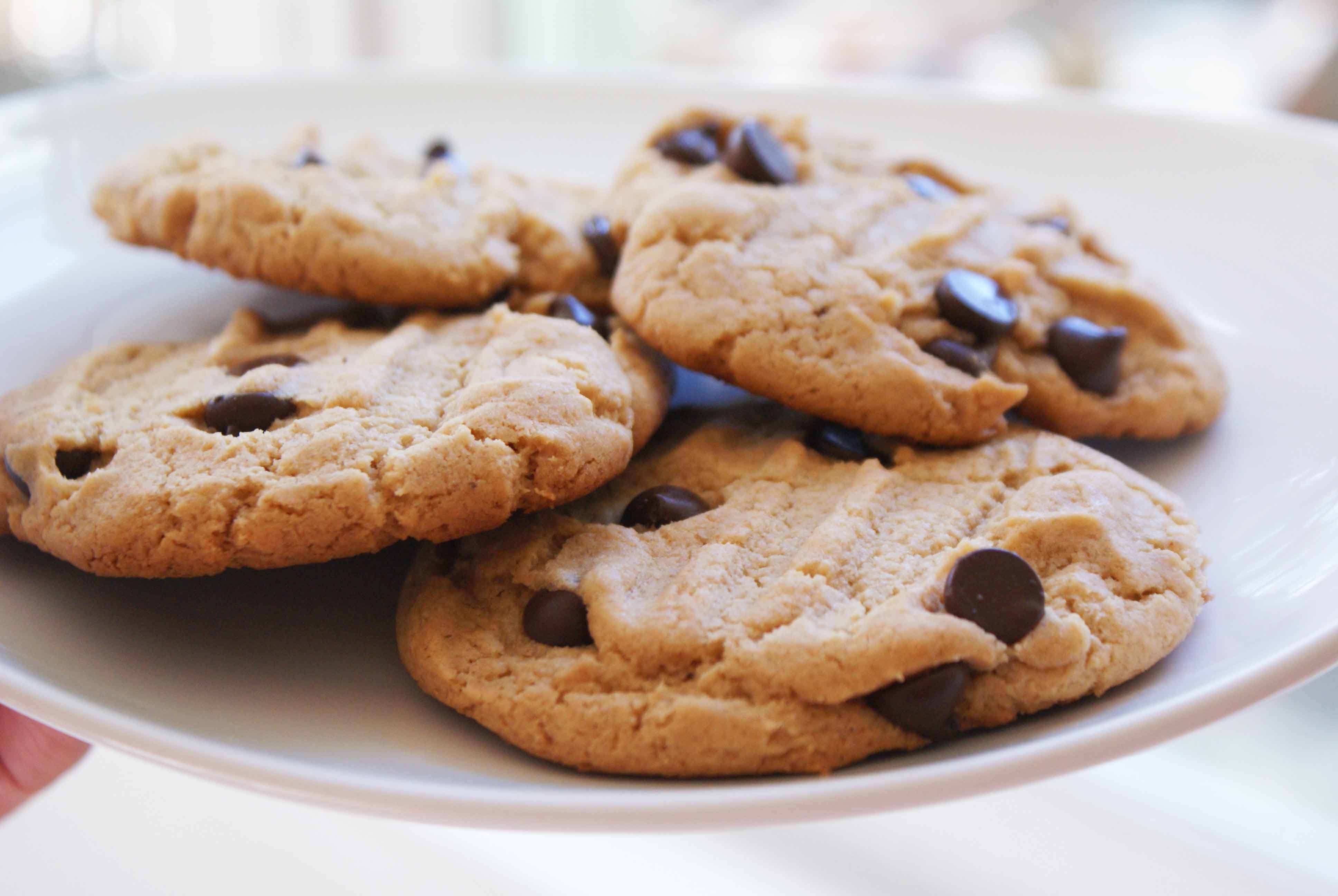 Chocolate Chip Cookie Wallpaper High Quality