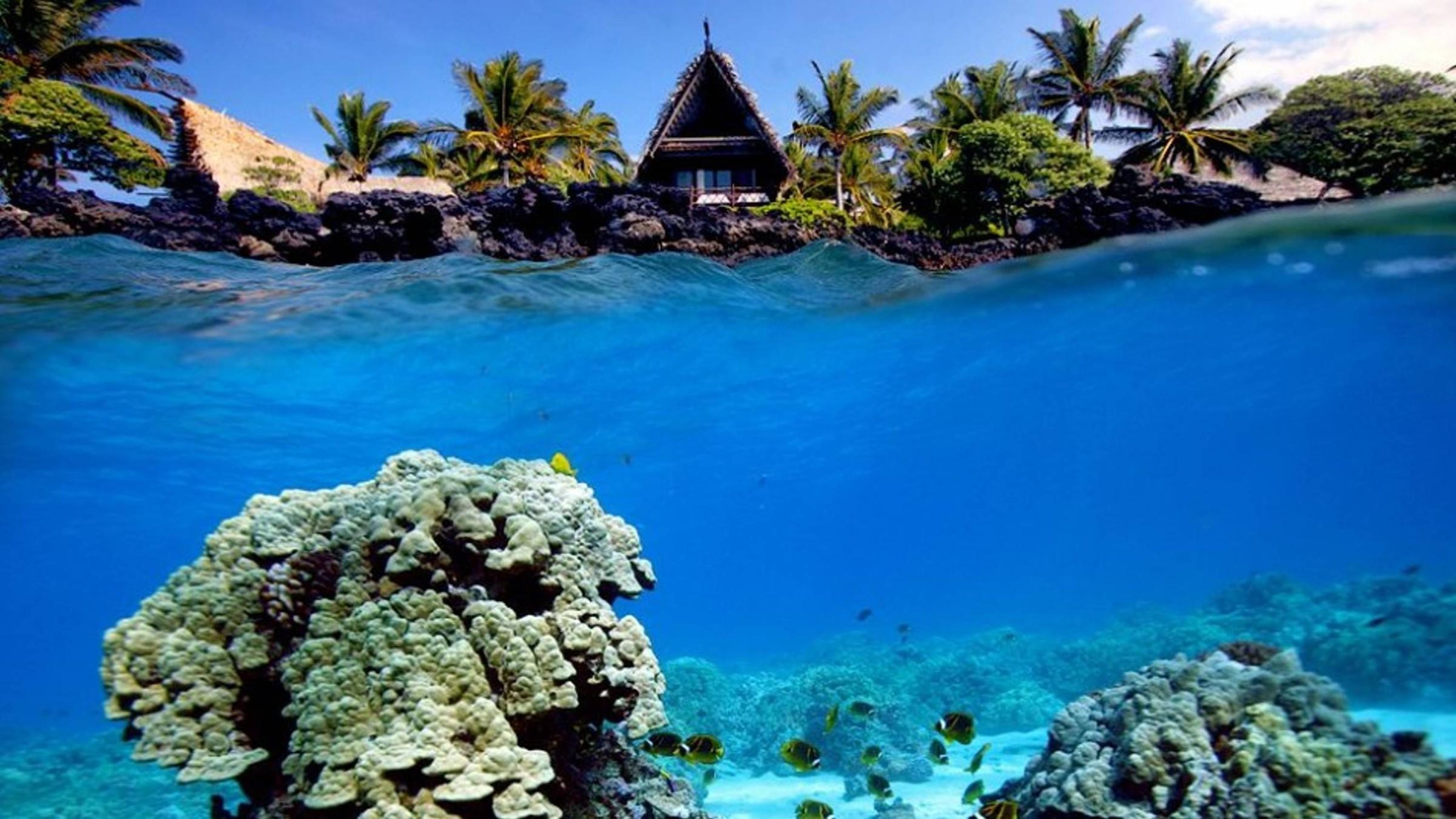 Underwater shot of coral reef and beach hut wallpaper. AllWallpaper
