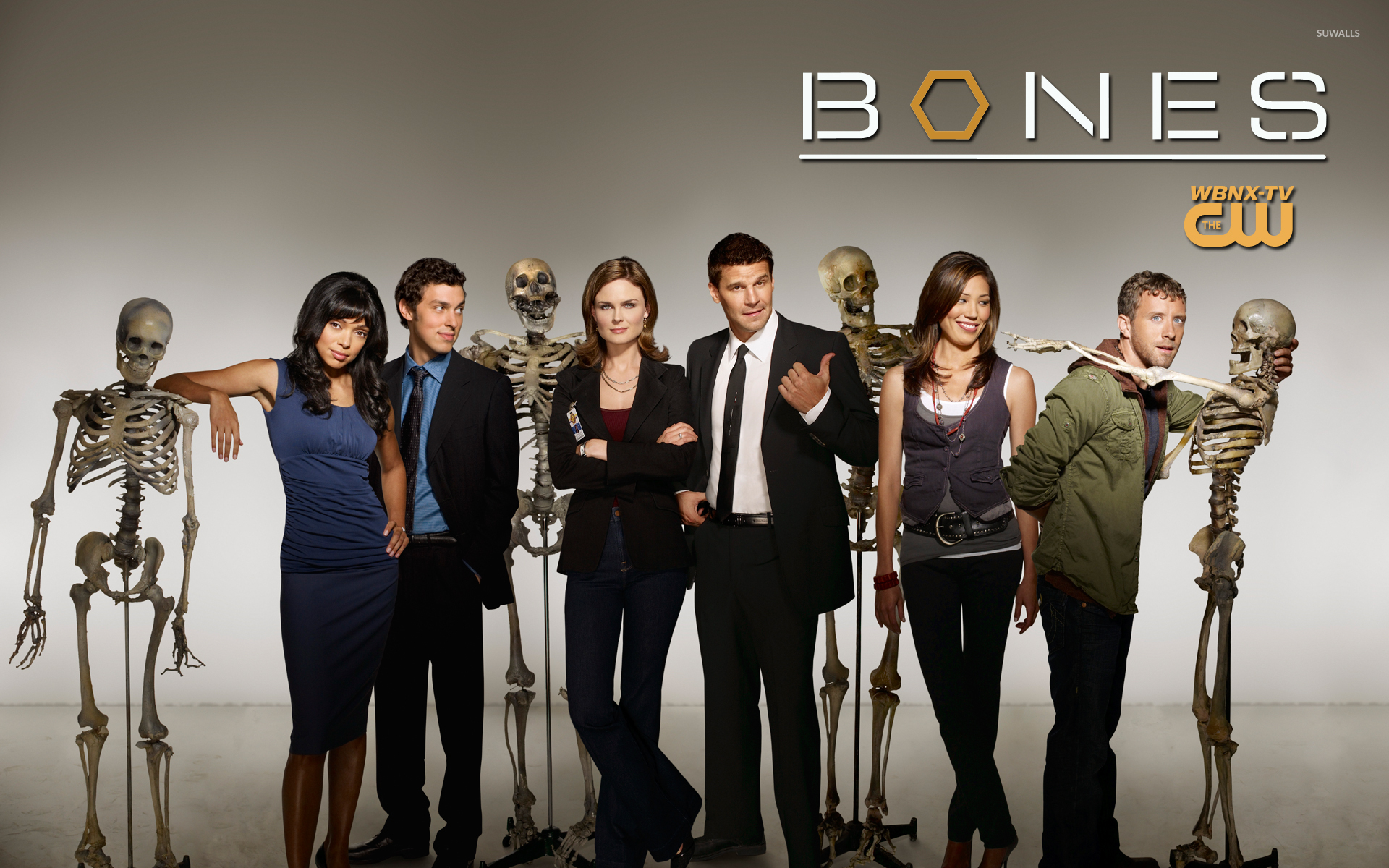 Bones Wallpaper 1 X 1200