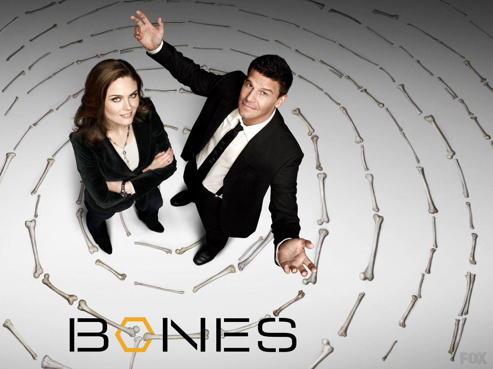 Booth and Bones image Booth and Brennan Wallpaper HD wallpaper
