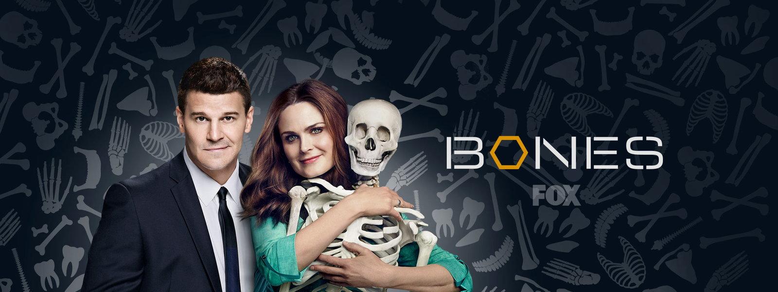 Bones Wallpapers - Wallpaper Cave - How Many Seasons Of Bones Are On Hulu