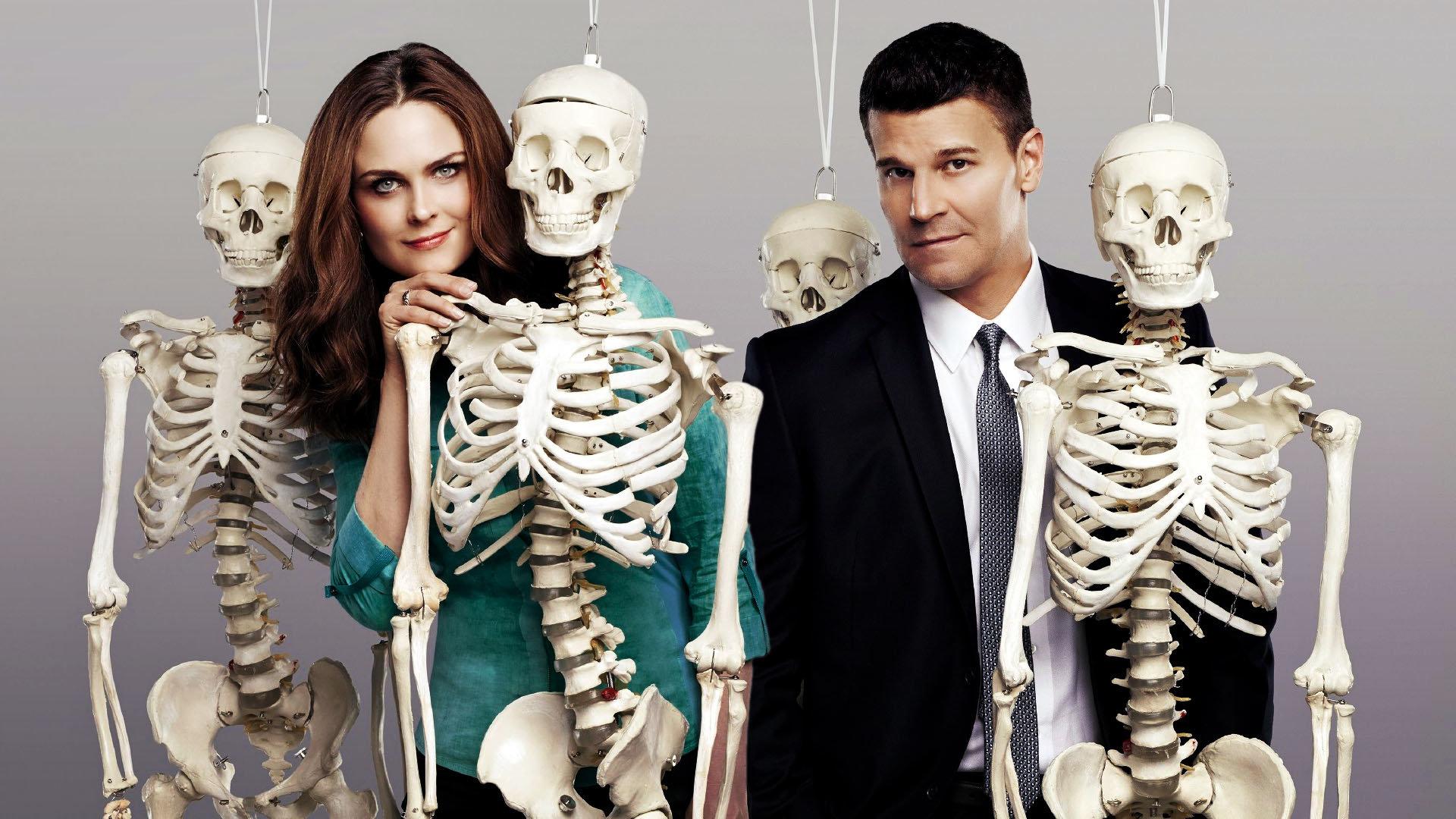 Bones wallpaper 1920x1080 Full HD (1080p) desktop background