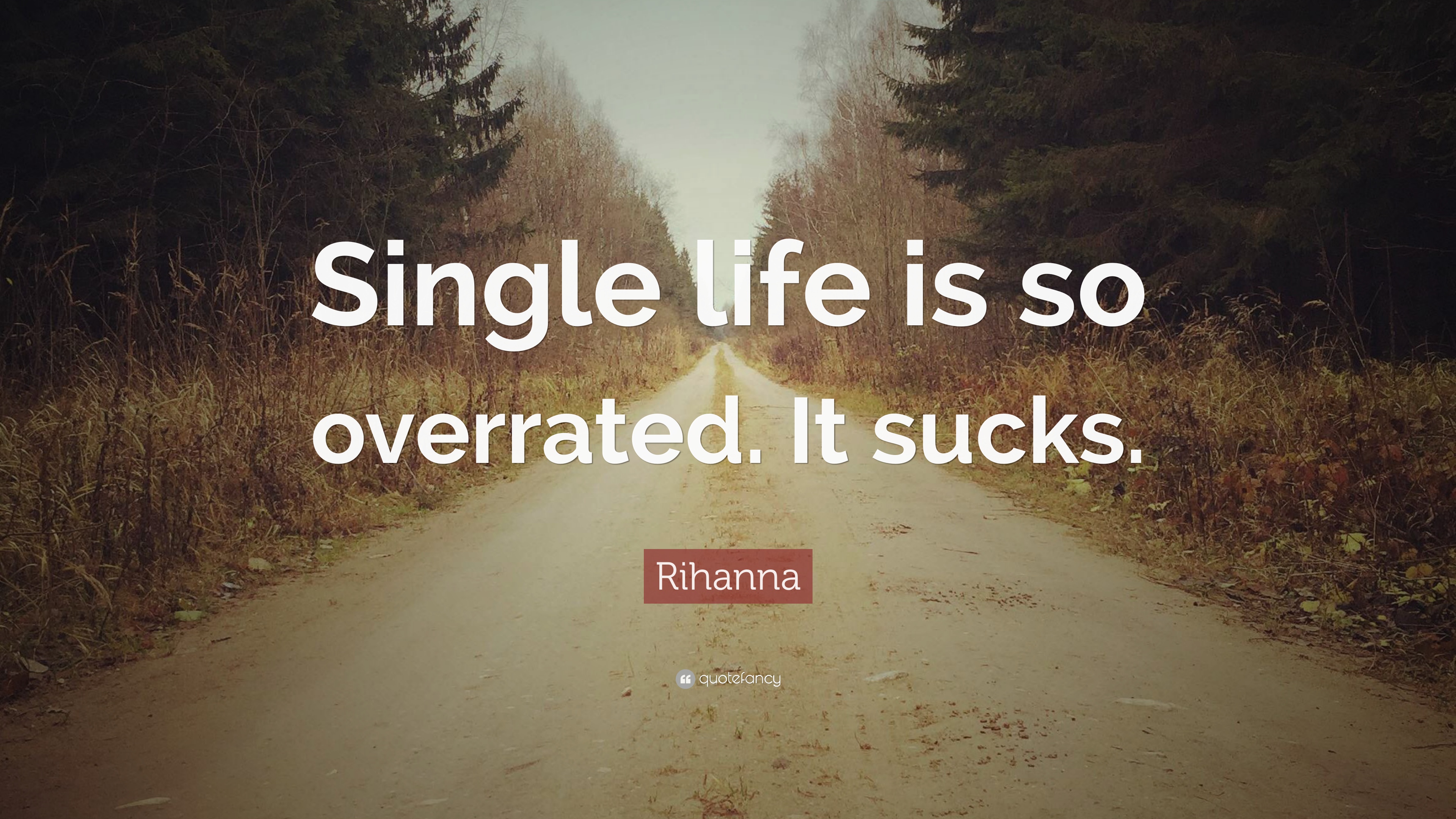 Single Life Wallpapers Wallpaper Cave