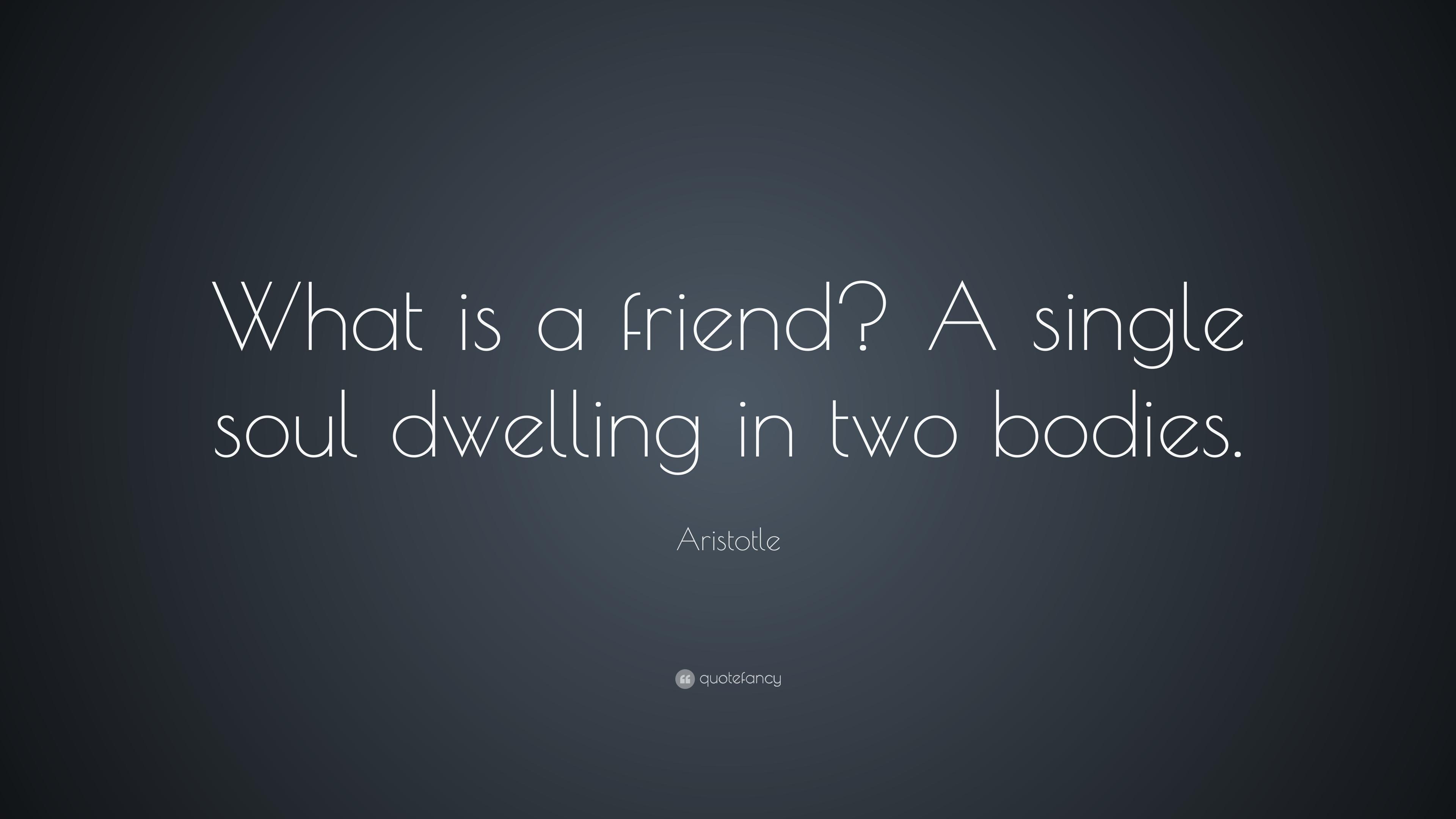Aristotle Quote: “What is a friend? A single soul dwelling in two