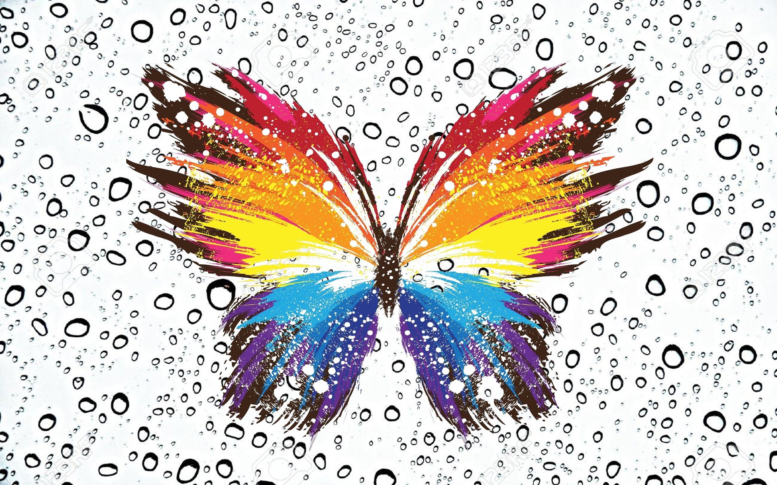Butterfly Water Drops Abstract Colorful Patterns Wallpaper