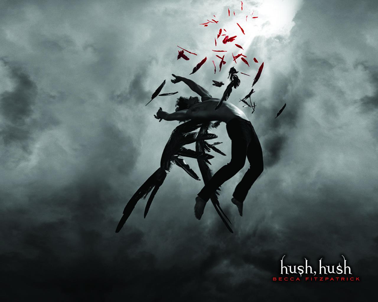 Hush Hush Series image Hush Hush Series Wallpaper HD wallpaper