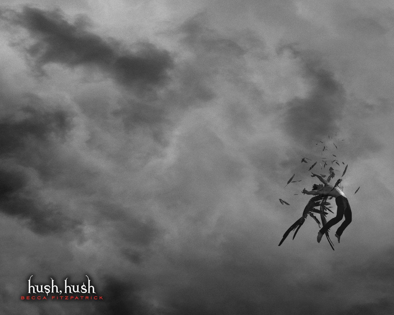Hush Hush Series image Hush Hush Series Wallpaper HD wallpaper