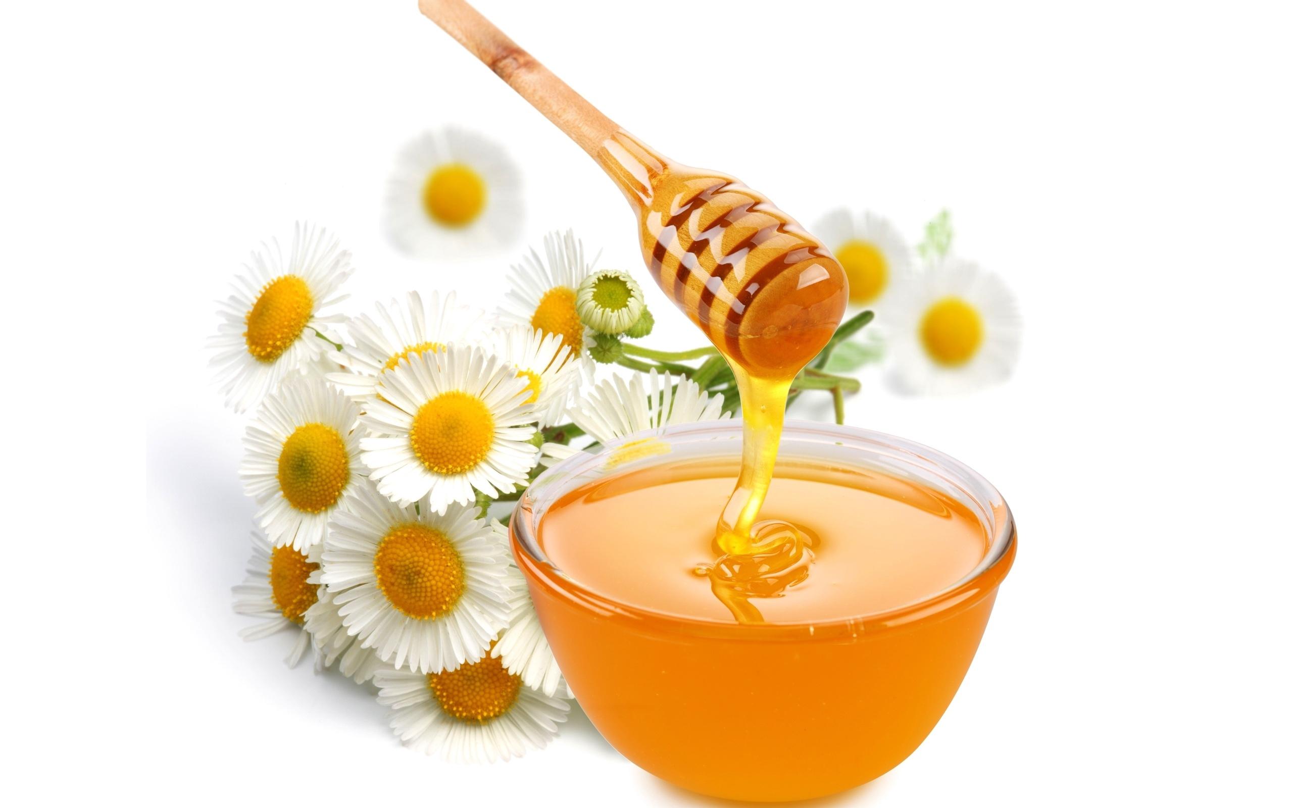 Download wallpaper 2560x1600 honey, bowl, flowers, daisies HD background