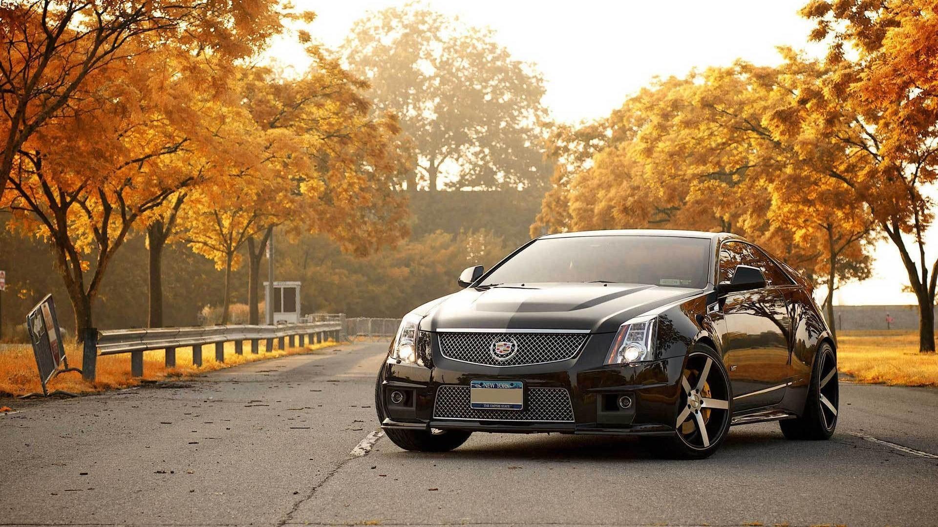 Cadillac Wallpaper background picture