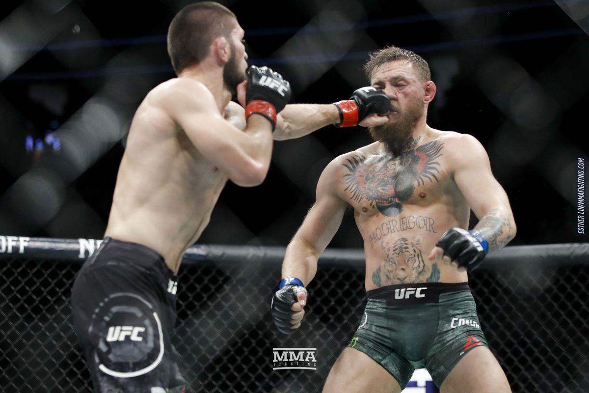UFC 229 photo