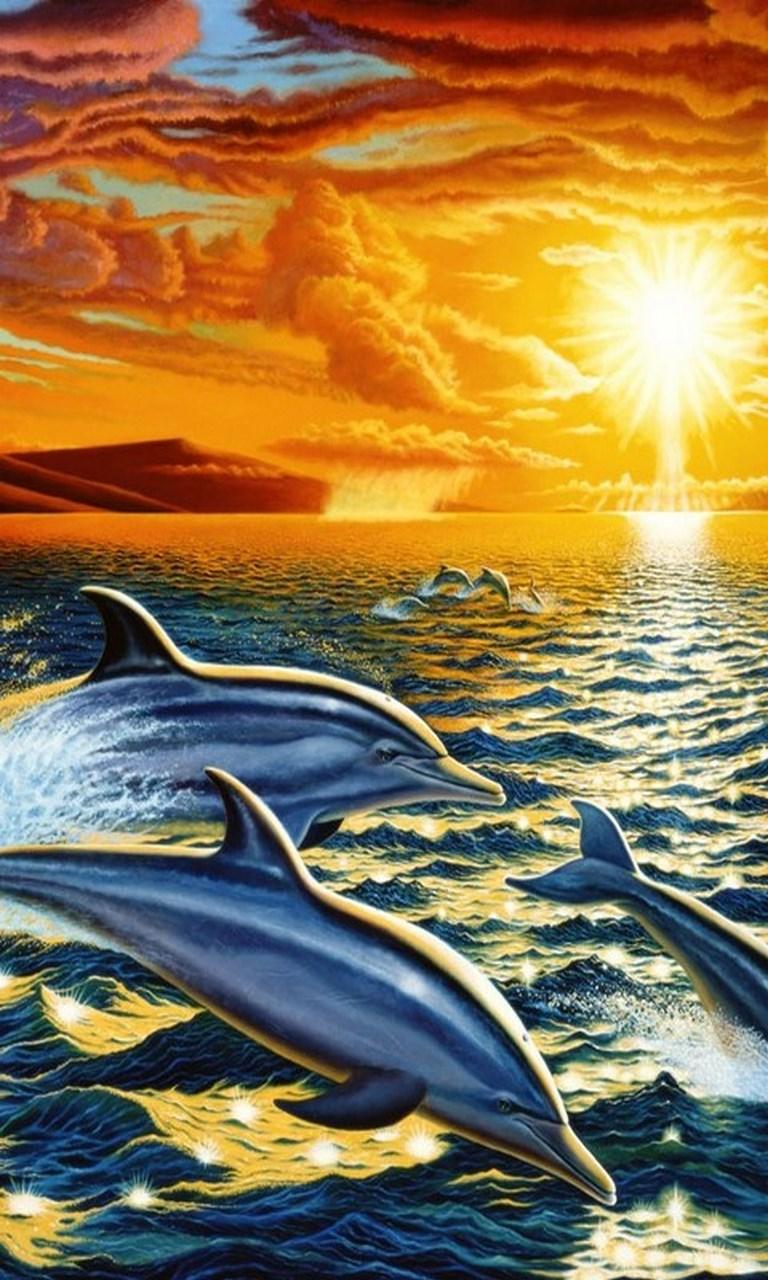 Dolphin 3D Wallpapers - Wallpaper Cave
