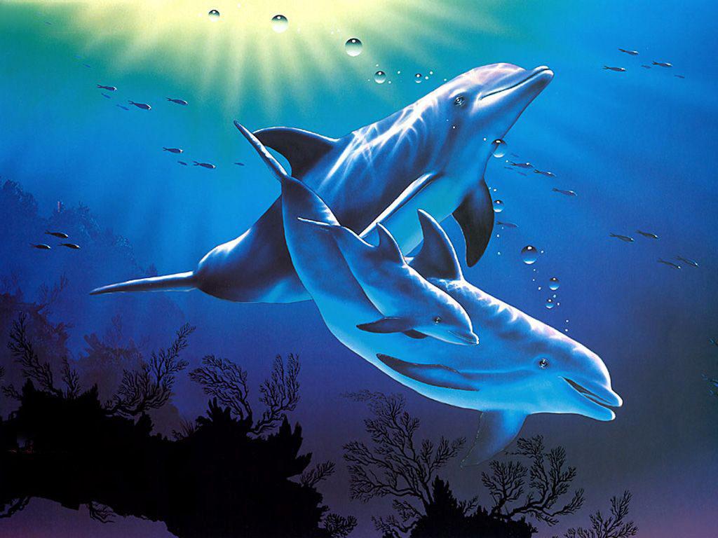 Dolphins 3D Desktop HD Wallpaper 3D & Abstract Wallpaper