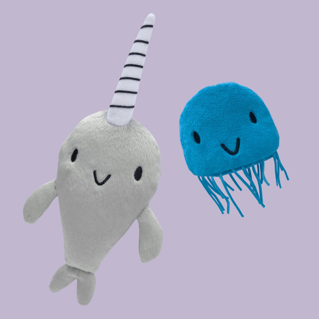 narwhal jelly