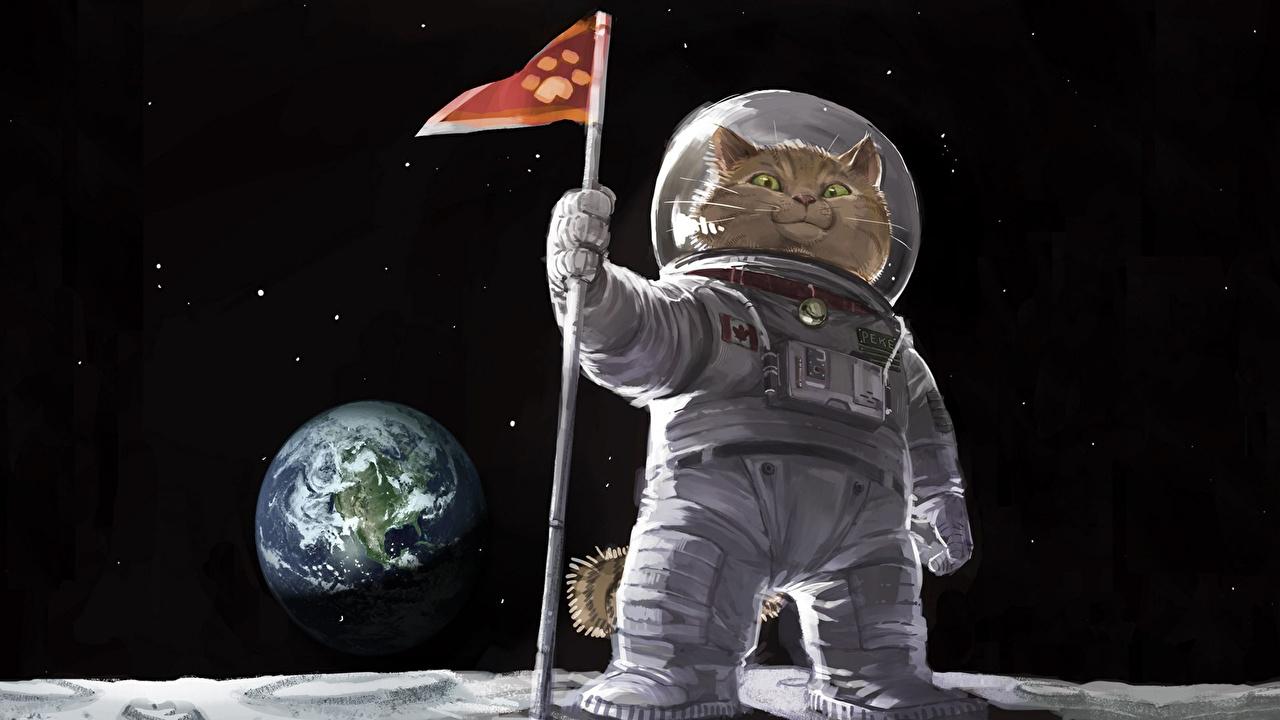 image Humor Earth Cats Cosmonauts Space Moon Animals