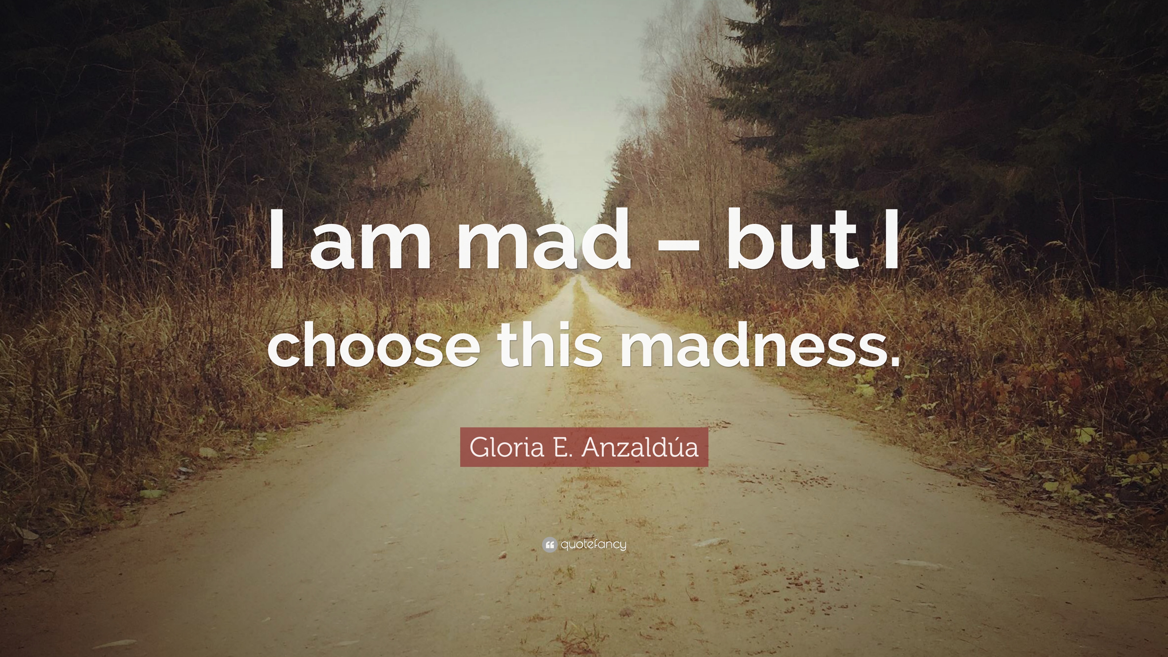 Gloria E. Anzaldúa Quote: “I am mad