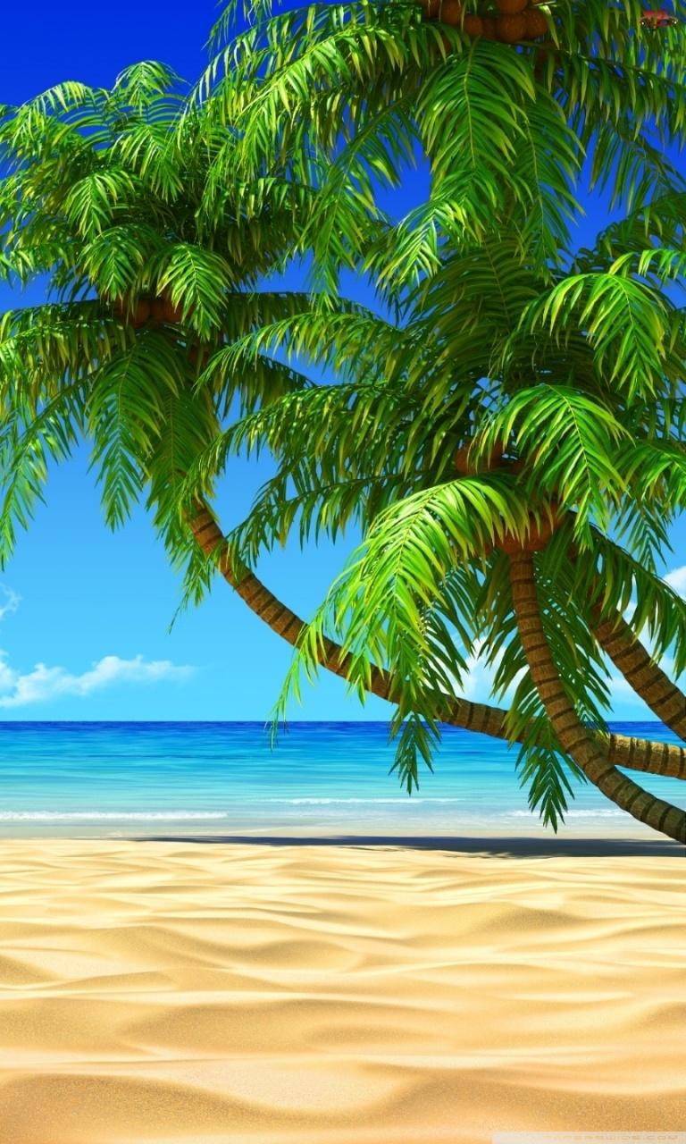 Palm Trees Ultra HD Desktop Background Wallpaper for: Widescreen