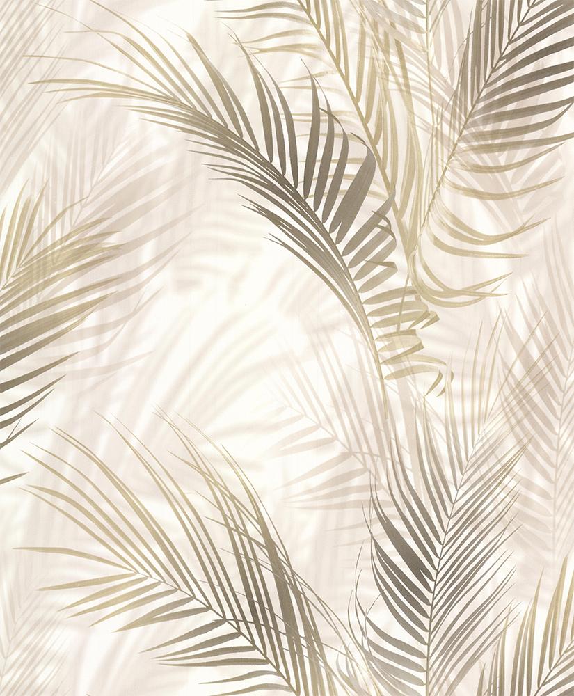 Bamboo Palm by Albany, Wallpaper Direct