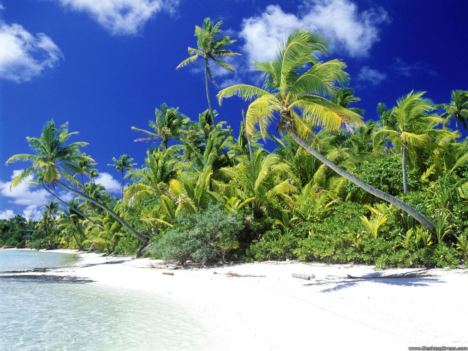 Desktop Wallpaper Natural Background Palm Beach, Solomon