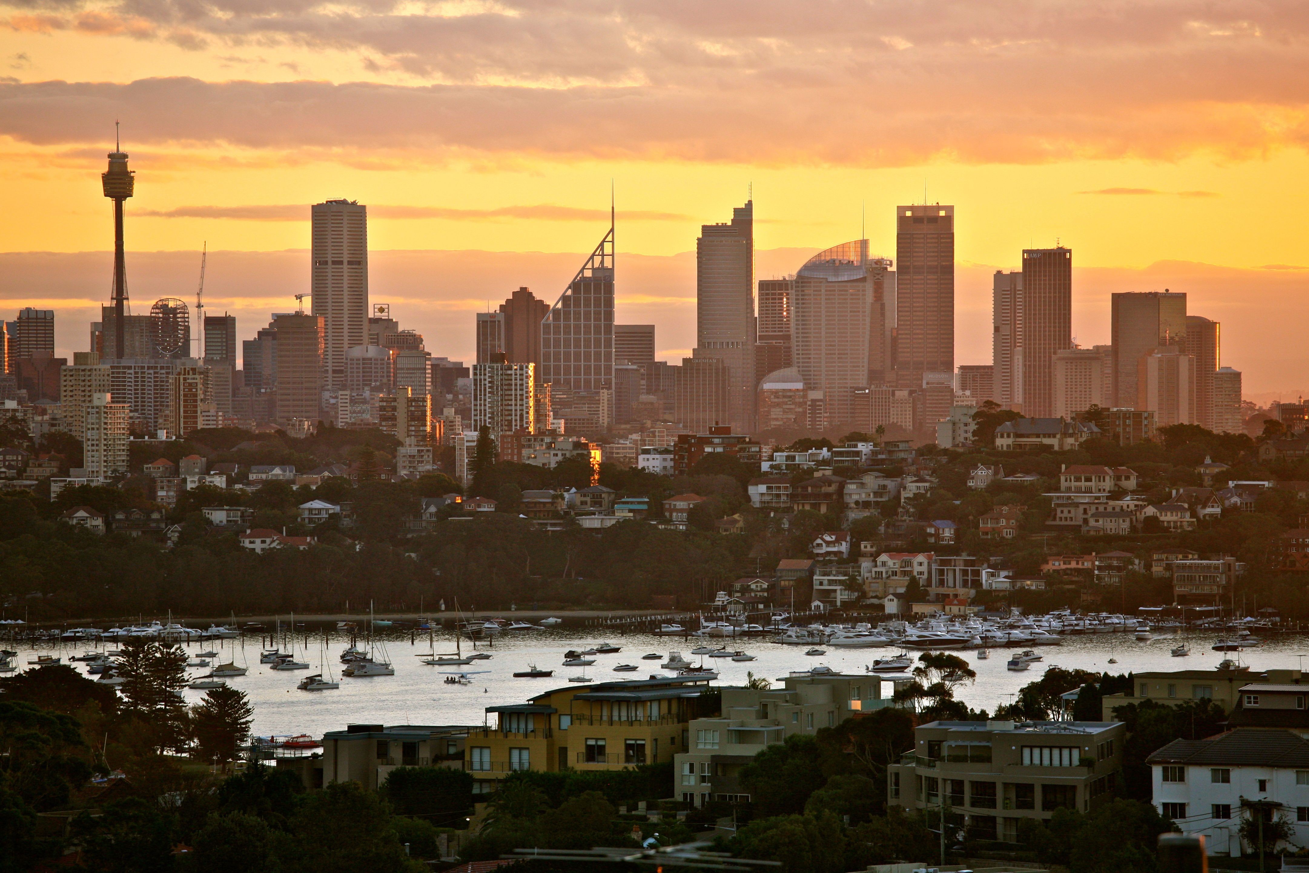 Sydney skyline at sunset wallpaper. PC