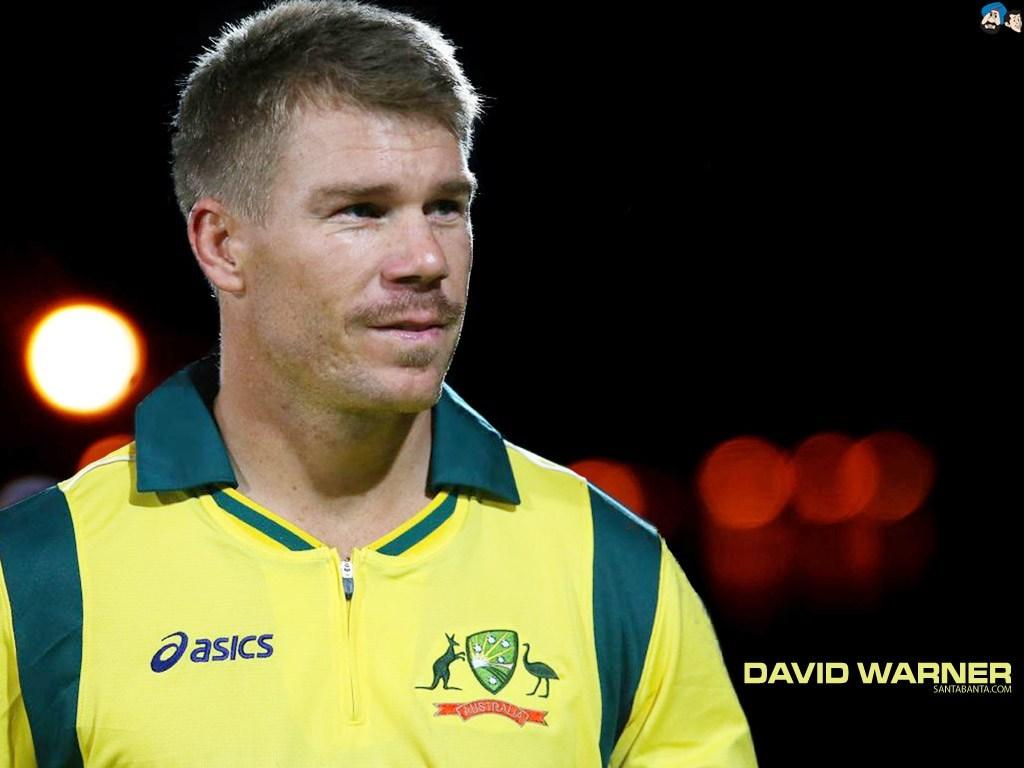 David Warner Cricket Player