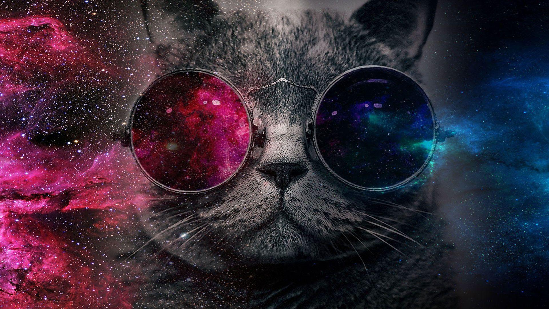 Glasses Cat Galaxy Wallpaper Free Glasses Cat Galaxy