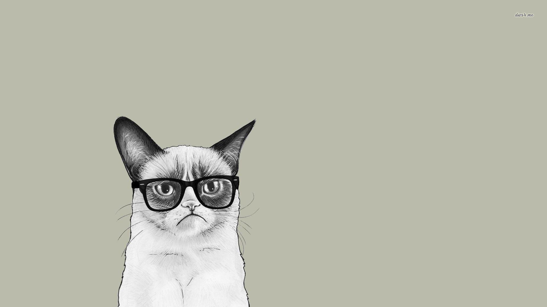 Cat With Glasses Wallpaper HD Wallpaper